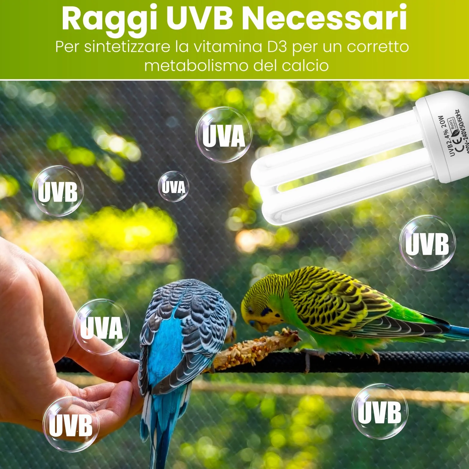 GlowUp UVB 2.4 Lampadina per uccelli 20W E27 UVA UVB pappagalli rettili