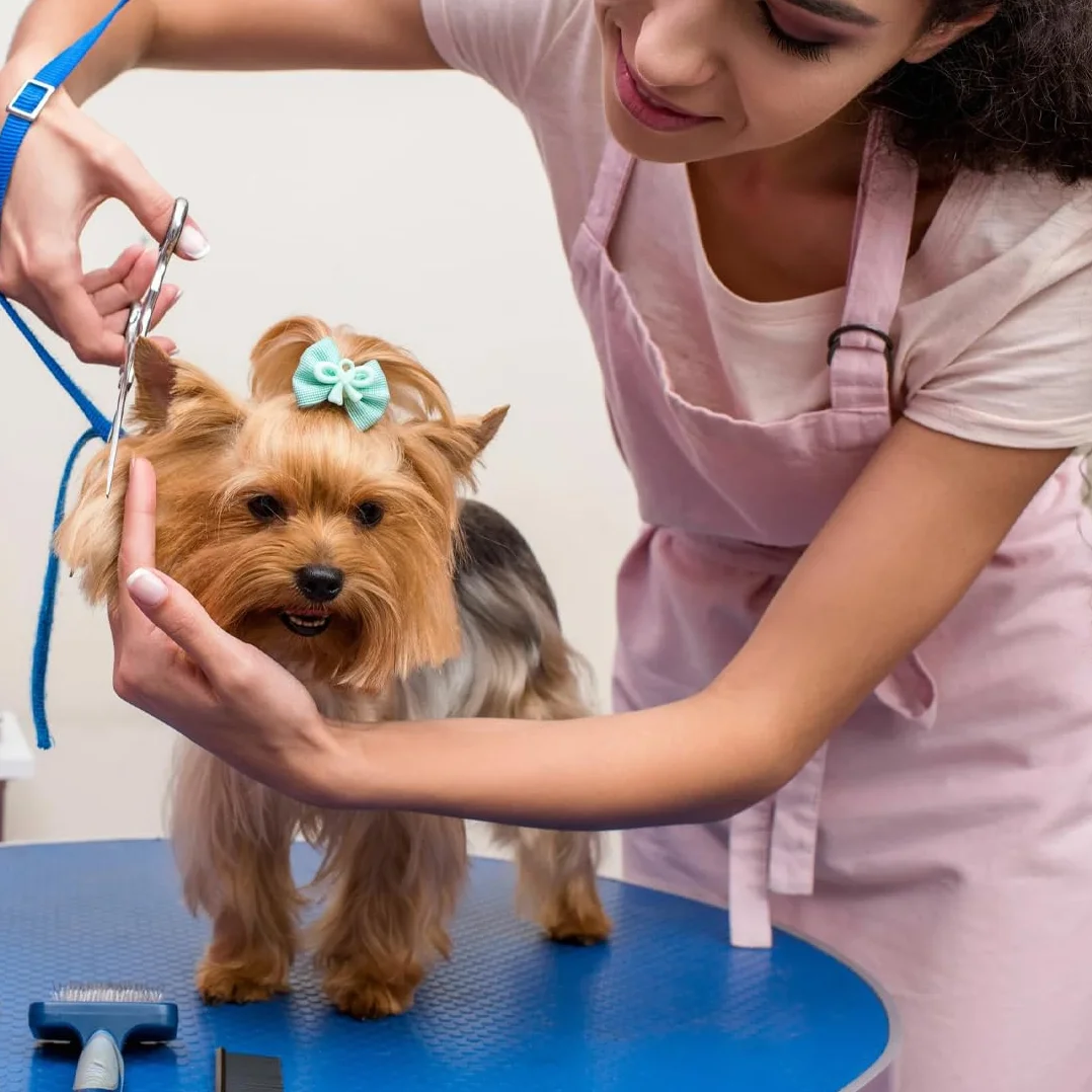 40 Pezzi Fiocchi per Cani con Elastici, Haarschleifen Hochwertig per Capelli per Cani Graziosi, Accessori per la Toelettatura per Kleine Hunde e Uso Quotidiano Durante Le Vacanze