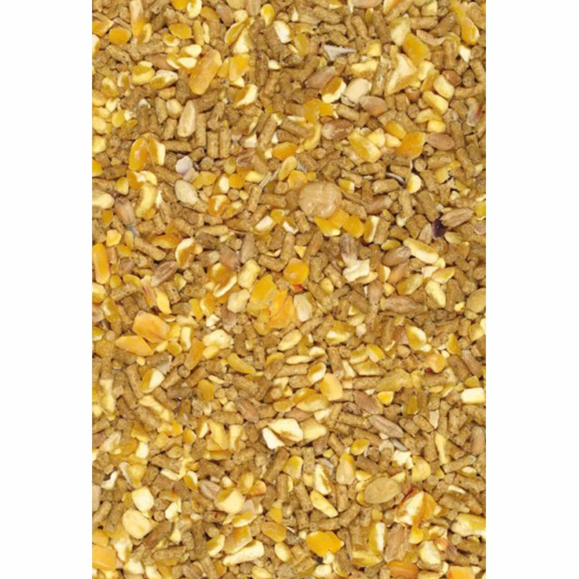 Giuntini Linea Agri Coccodoro 25kg Micronizzato No OGM No COCCIDIOSTATICO mangime per Galline ovaiole con granaglia, aggiunta di gusci d'ostriche Alta qualita' ed Erba Medica
