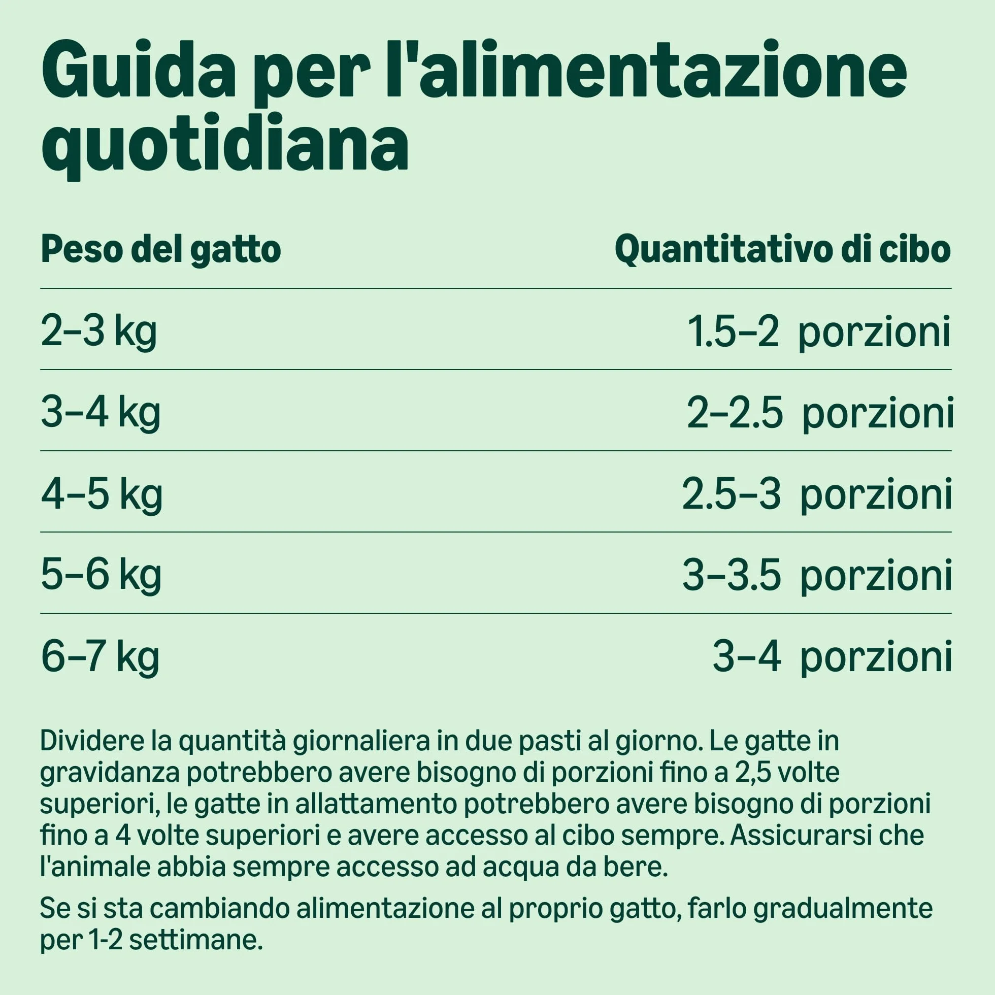 Cibo Umido per Gatti Paté Assortiti 100g Confezione da 32