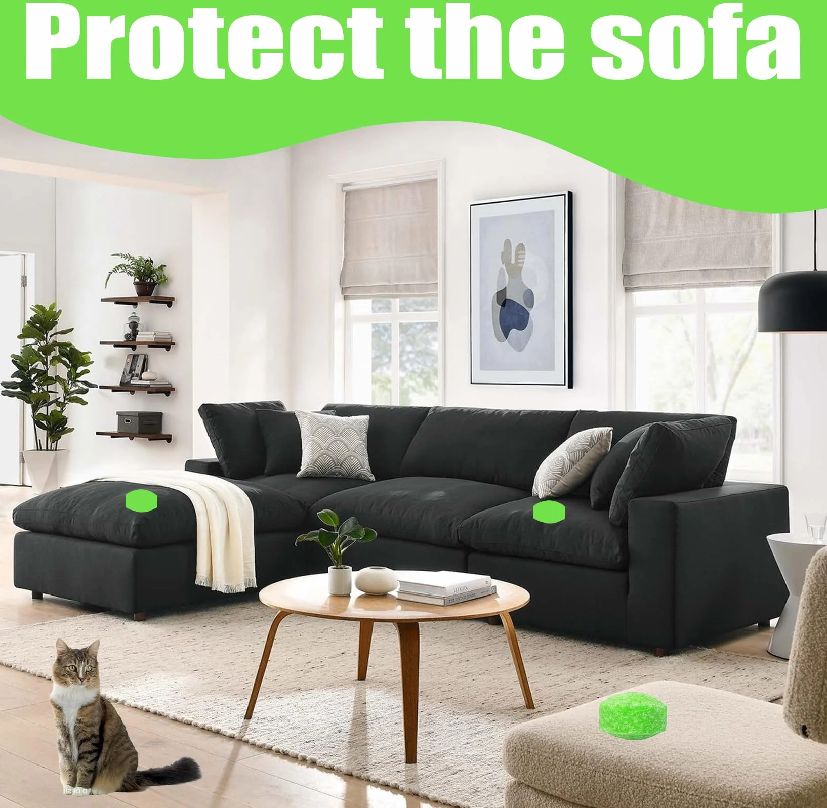 12 Sfere Repellenti Naturali per Gatti | Protezione Casa & Giardino contro Gatti & Cani | Con Olio di Menta & Citronella | Sicuro per Animali, Resistente alle Intemperie, Efficace – Set