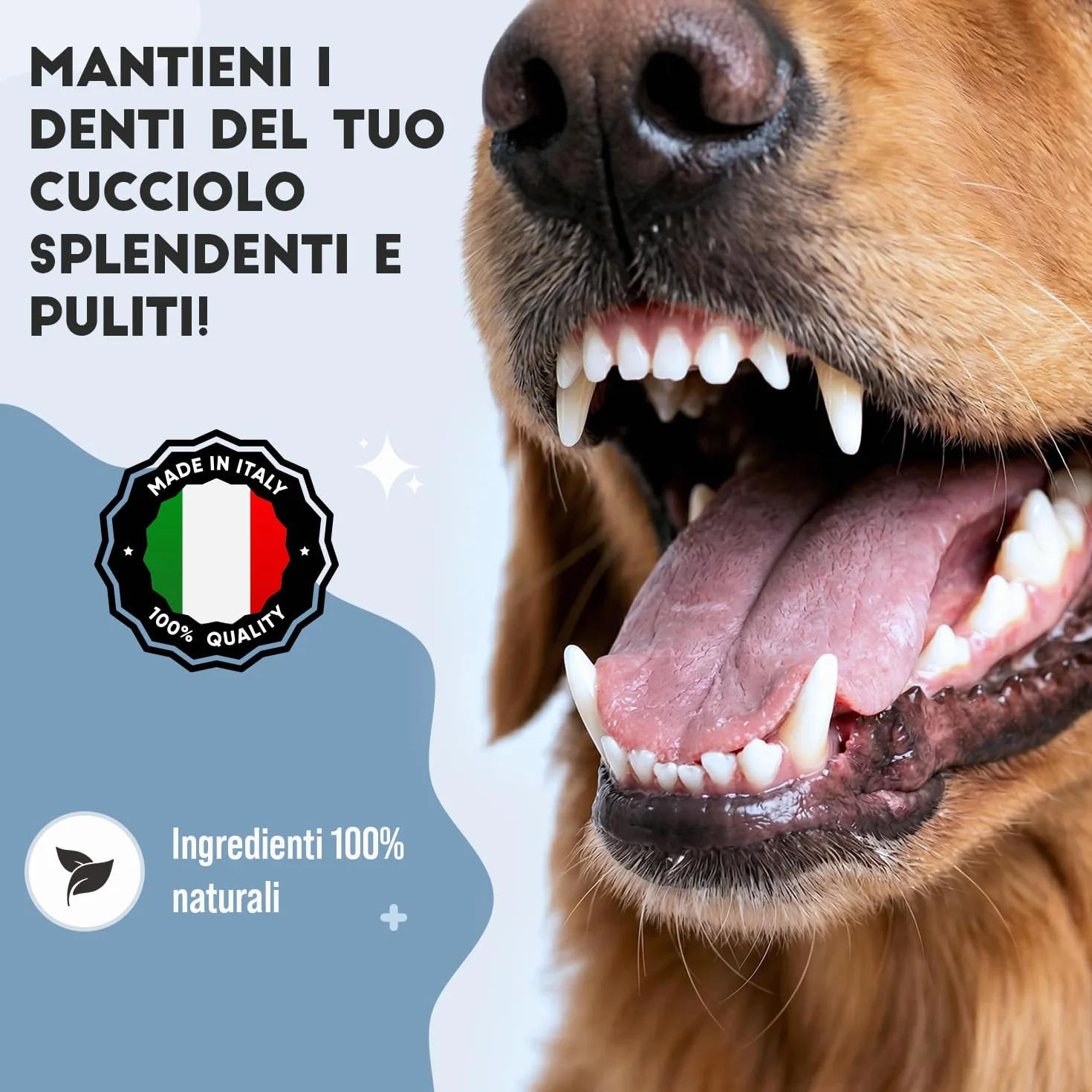 Pulizia Denti Cane in Polvere, Rimuovi Tartaro Denti, con Ascophyllum Nodosum e Pappa Reale, per Alito Cattivo e Igiene Orale, 150gr per Supporto alle Gengive e Alito Fresco
