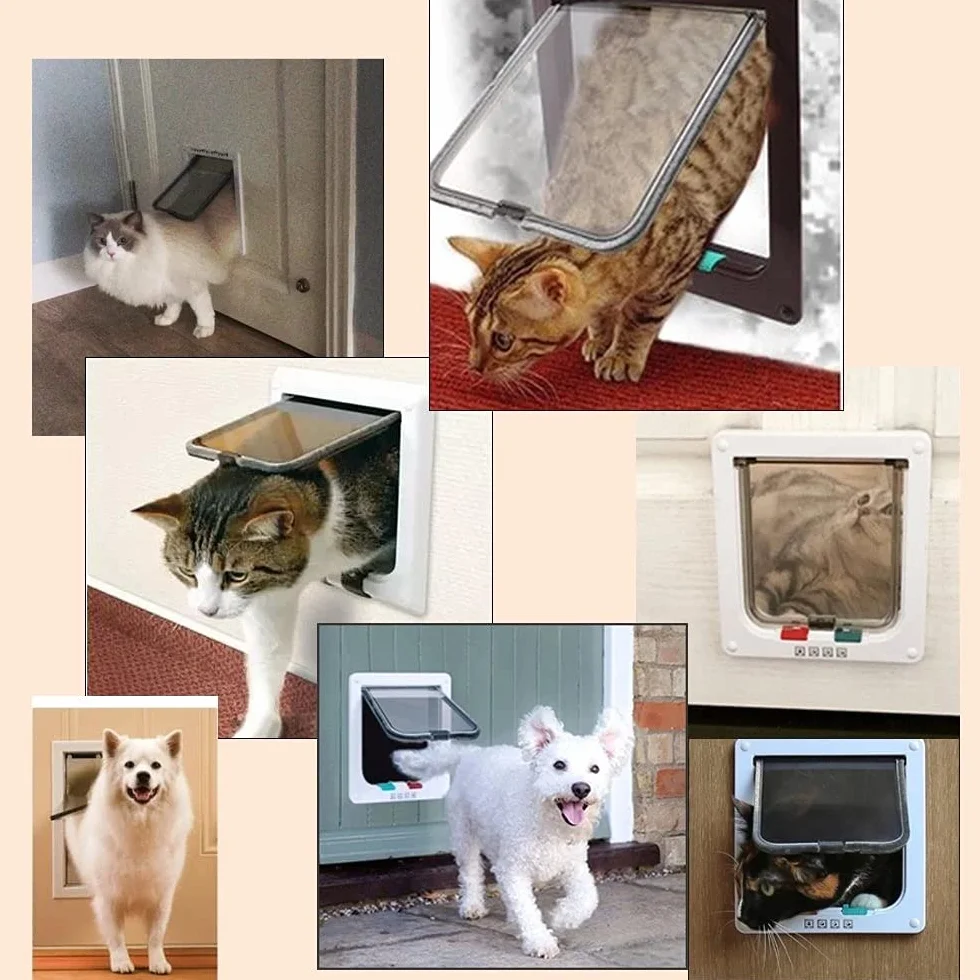 NEWFUN Gattaiola Porta Basculante per Gatti e Cani, 4 Impostazioni Bloccaggio, 20x19x5.3cm