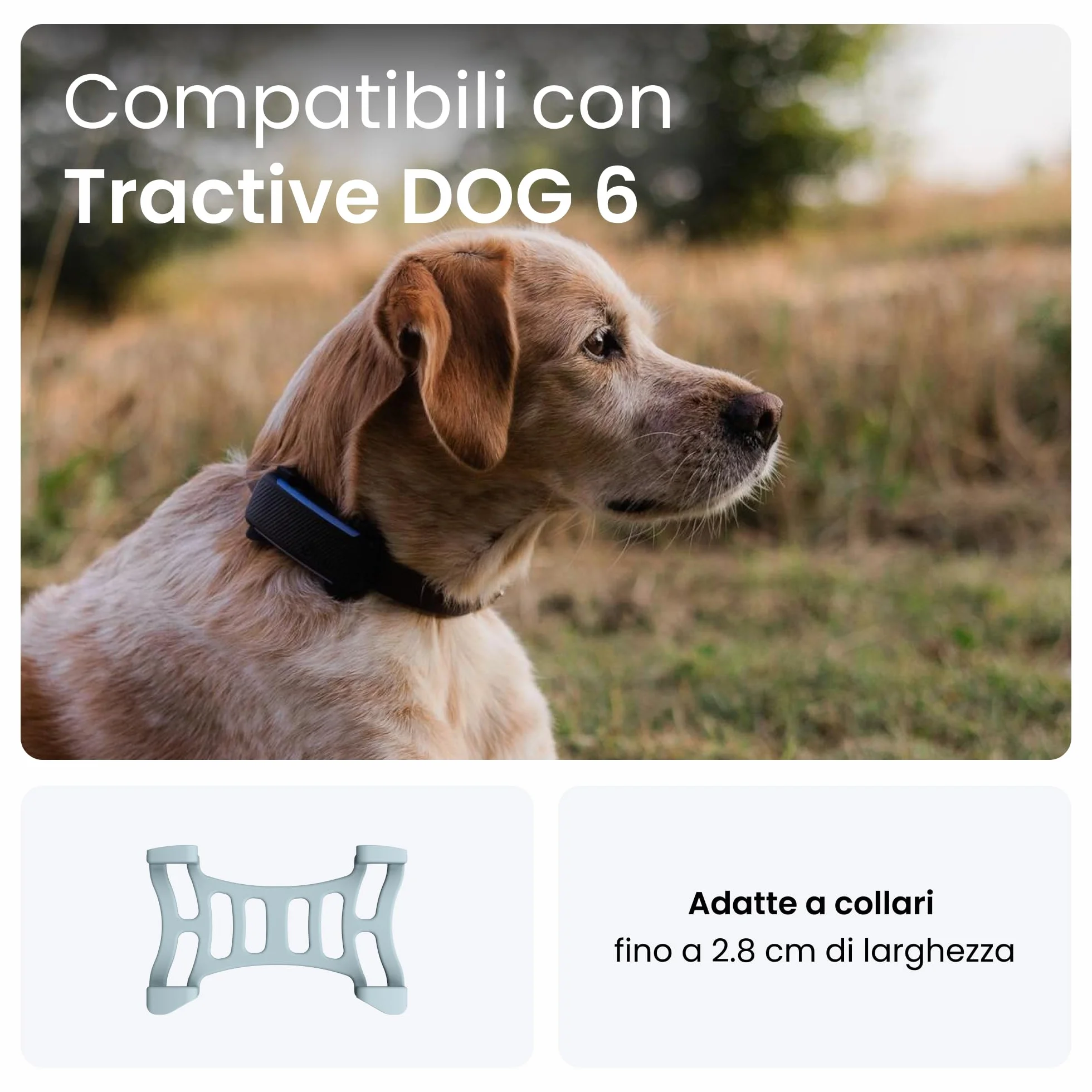 Tractive - 2 clip di gomma per GPS per cani Tractive DOG 6 (menta)