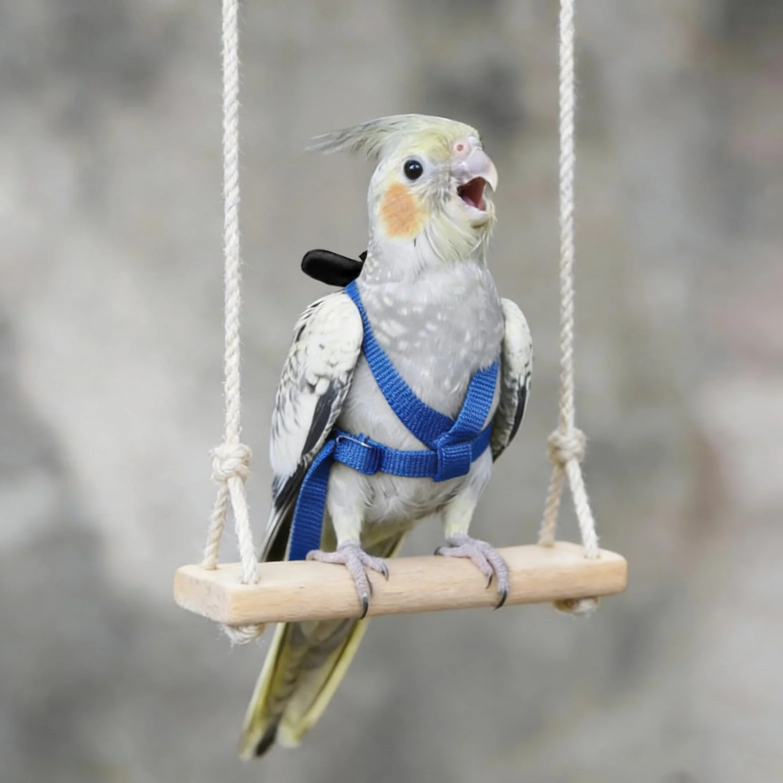 Imbracatura per pappagallo regolabile per animali domestici e uccelli guinzaglio per attività all'aria aperta corda da addestramento cinghia elastica anti-morso per pappagalli cacatos ara