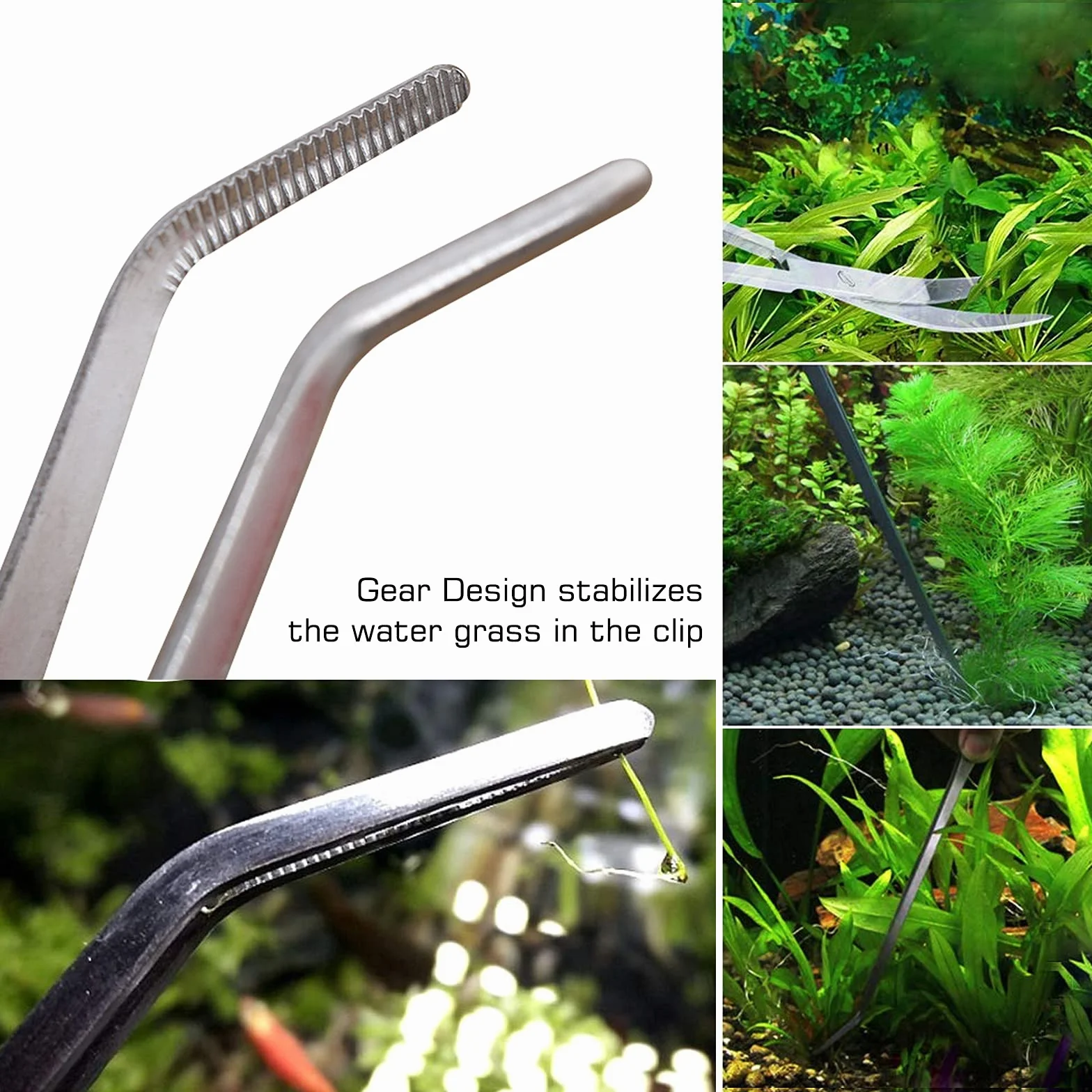 Winfred Set attrezzi acquario 4 in 1 pinze piante acquatiche forbici spatola kit pulizia pesci argento