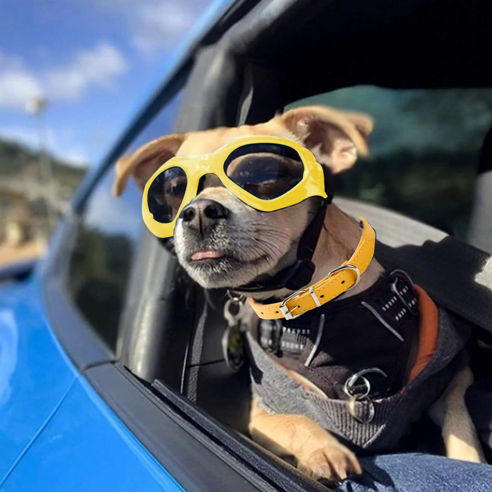 Occhiali per Cani Taglia Piccola, Pieghevole Occhiali da Sole per Cani e Gatti, Protezione UV, Regolabile, con Collari per Pet, Giallo