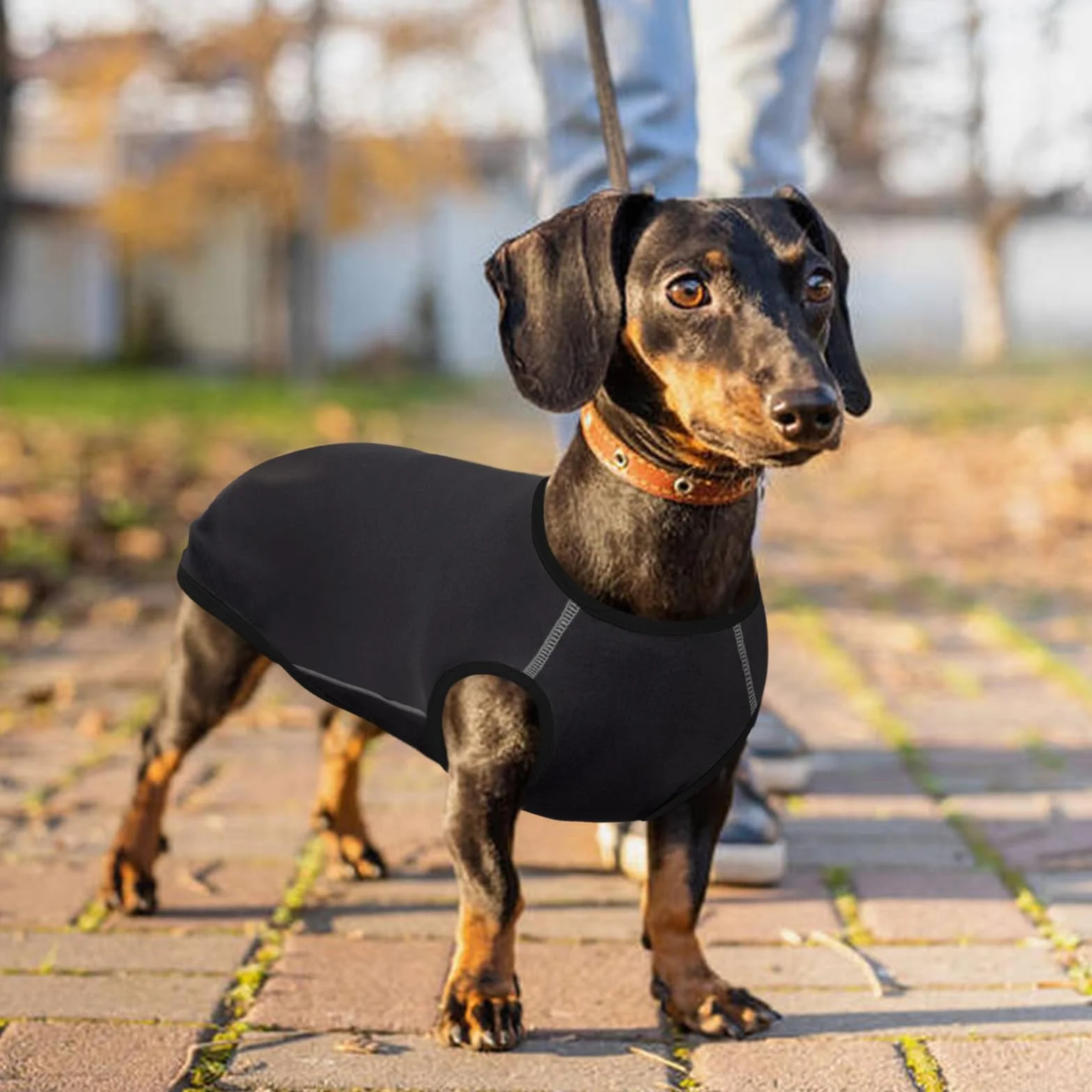 Maglione Per Cane Bassotto Confortevole Grigio XS