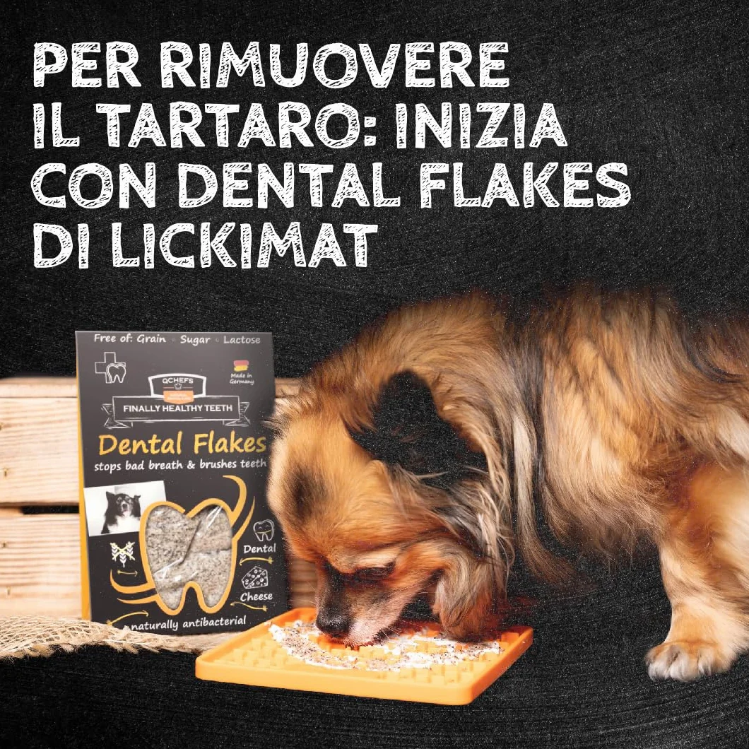 QCHEFS Dental Flakes per Cani - Snack per la Cura dei Denti - Rimuovere Il tartaro - per Chi soffre di allergie - Contro l'alito Cattivo e Le gengiviti - Antibatterico