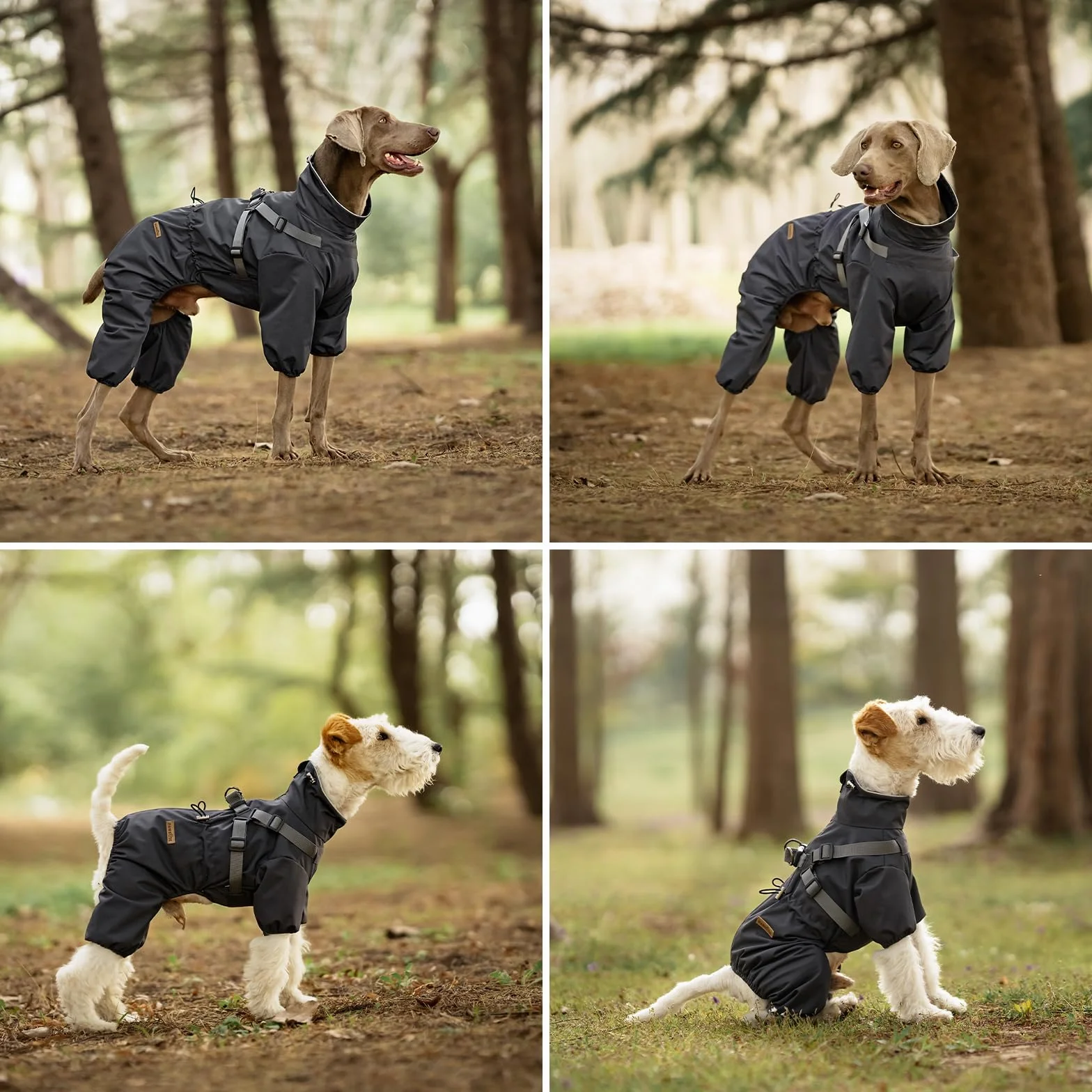 PAWBOSE Impermeabile per Cani con Imbracatura per Cani di Taglia Piccola, Media e Grande, Impermeabile Regolabile, Riflettenti, 4 Gambe, Bei Vestiti per Cani per l'estate, Grigio, 4XL