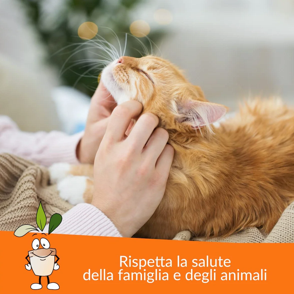 CLOSTER STOPPEE - Disabituante Gatti 750 ML - Spray Disabituante per Gatti vegetale a Base di Timo - Dissuasore per Gatti per Interni ed Esterni - deterrente per Gatti agisce in Modo 100% Naturale
