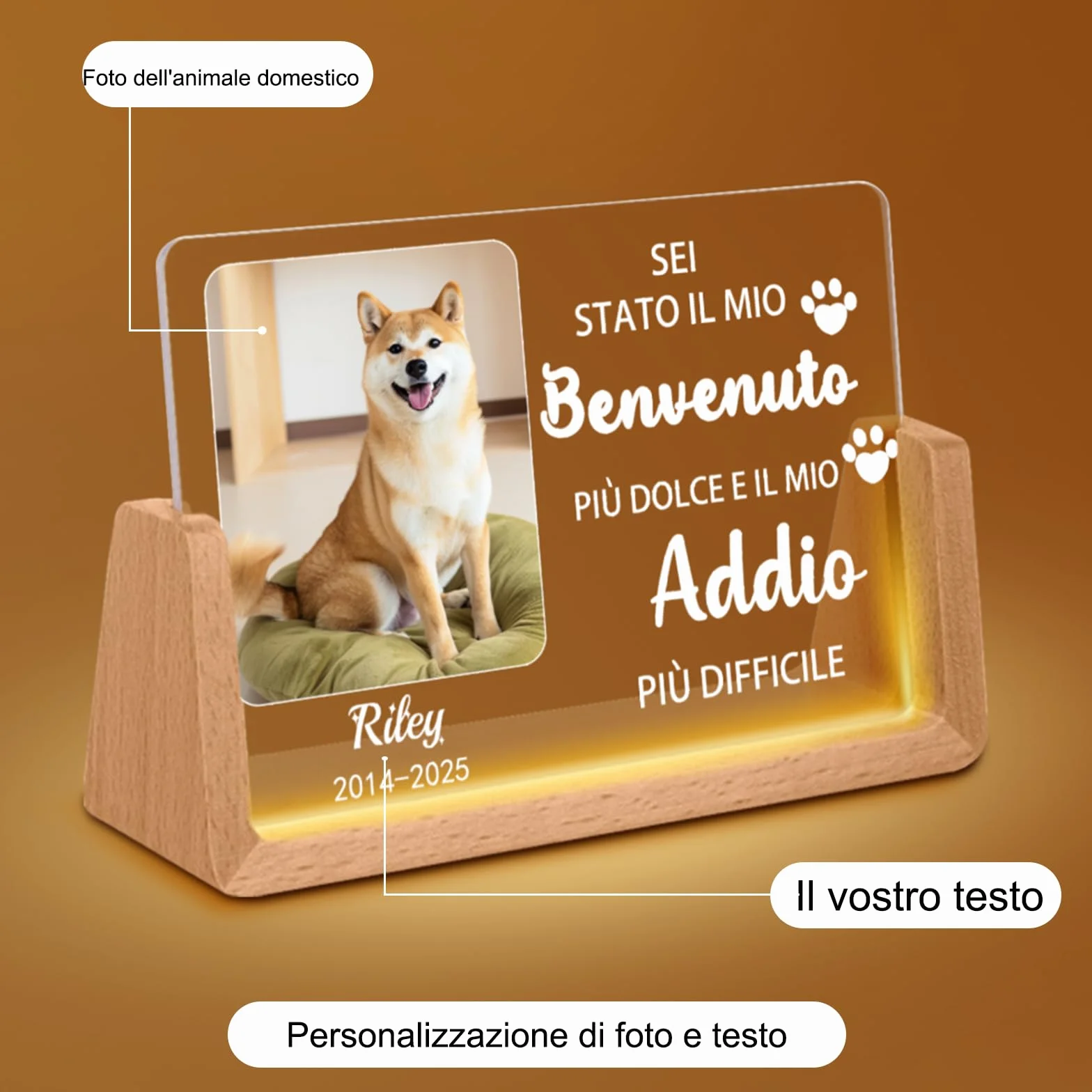 Luminaria Personalizzata per Cani,Lampada LED con Foto & Nome del Cane, Design con Cuore & Impronte, Regalo Commemorativo per la Perdita dell'Animale Domestico con Data (Style D)