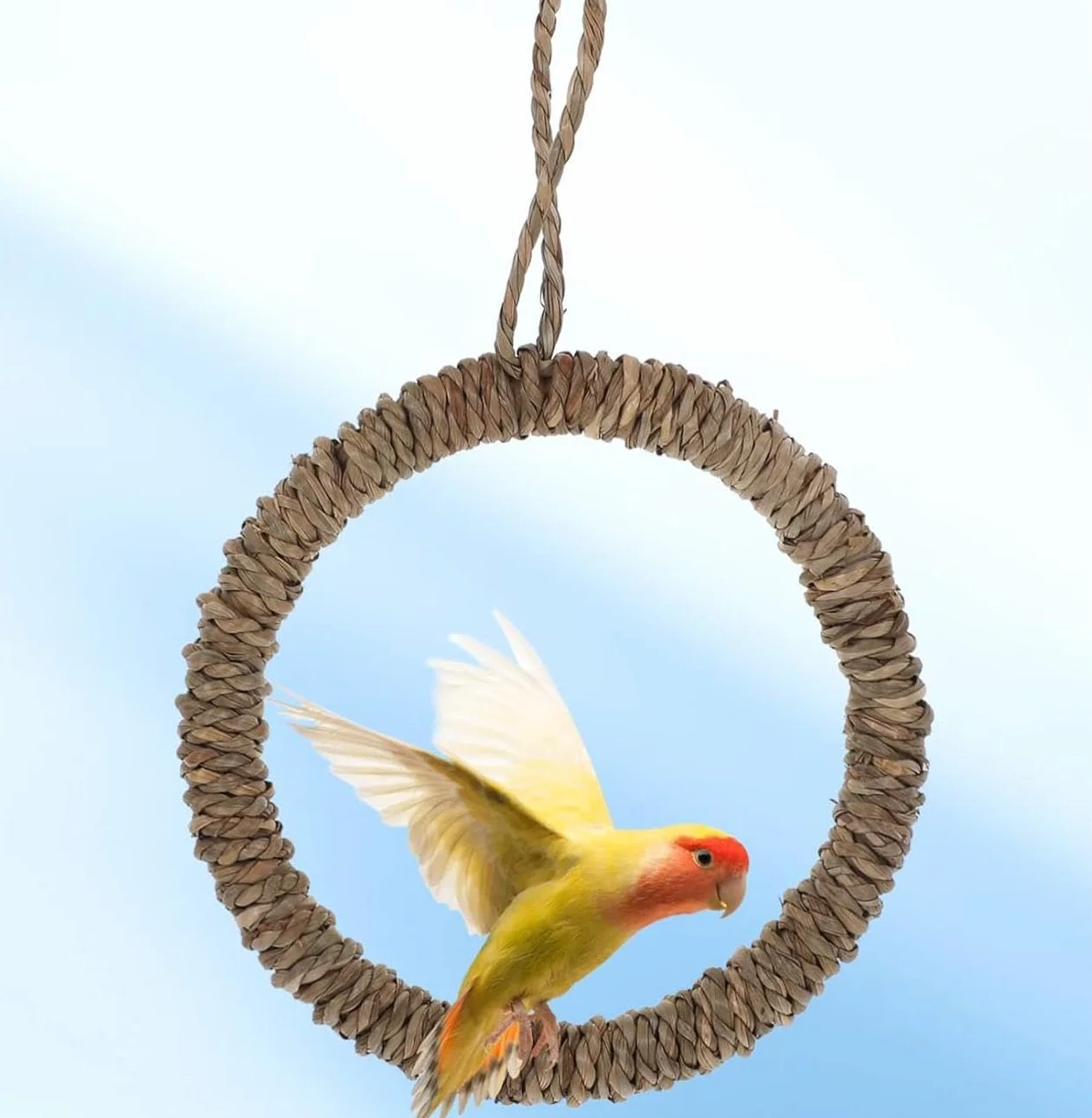 Giocattoli per uccelli 4 pezzi 15cm altalena per uccelli corda giocattoli da appendere gabbia rompi noia Calopsitte Pappagallini
