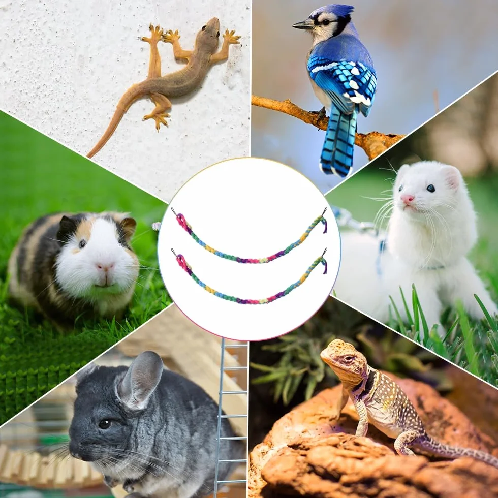 DONGKER Corda Arrampicata per Piccoli Animali 2/4 Pezzi Giocattolo con Fibbia in Metallo per Ratto Furetto Pappagallo