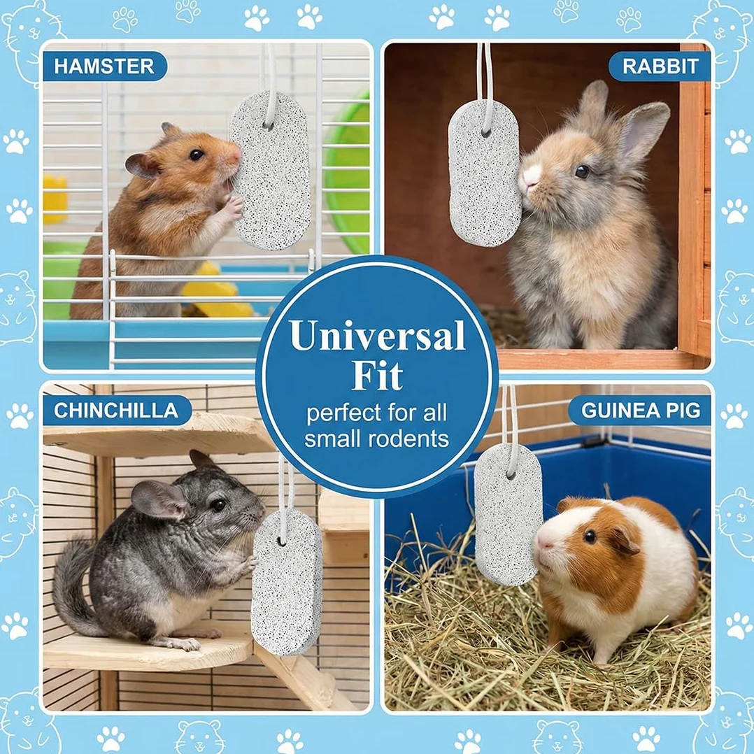 6 Pezzi Pietra per la Masticazione Degli Animali Domestici Masticabili per Animali Domestici Pietra Minerale al Calcio per Criceti Conigli e Cincillà Sicure e Naturali per Dentale