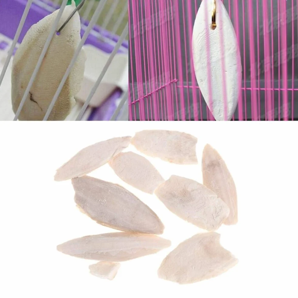 Naturali Osso di Seppia Pappagalli Giocattoli Masticazione Uccelli Gabbia Rettili Tartarughe Lumache