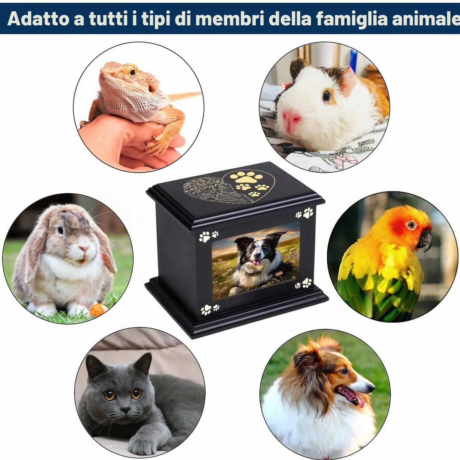 Urne per Ceneri Cane Memoriale Legno con Cornice Foto XLarge Funeral Cremazione Ricordo Regalo