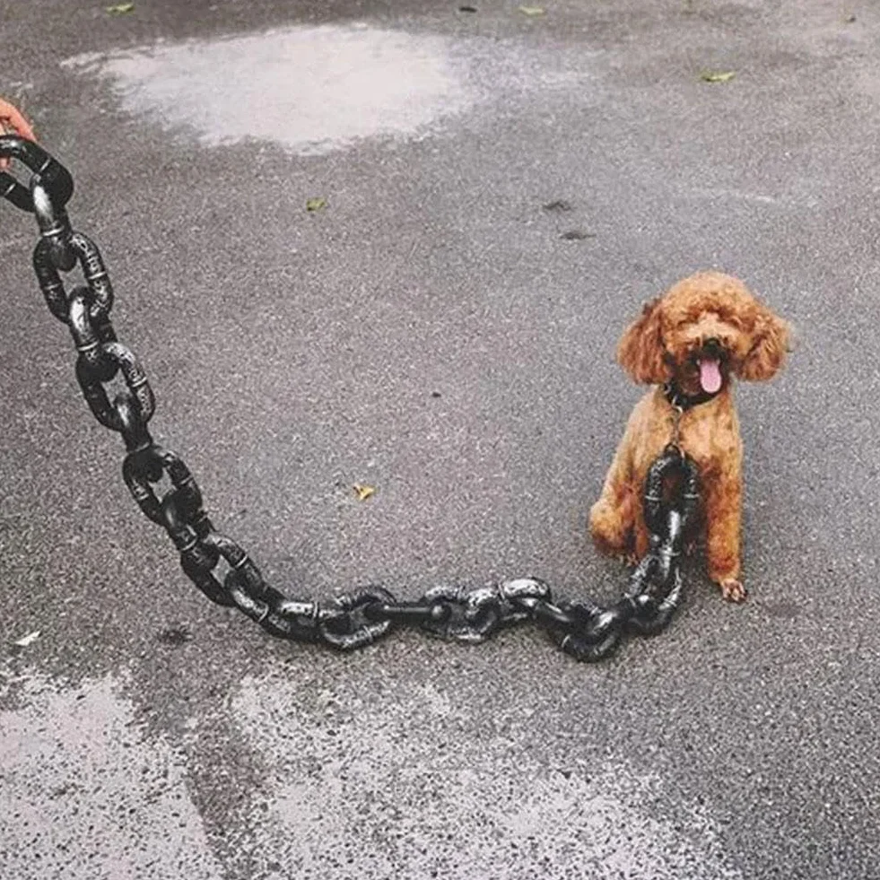 Falsa catena grande per cani, interessante catena realizzato in materiale plastico che imita la catena di ferro, solo per cani di piccola taglia, gatti e cuccioli, chihuahua, barboncino toy,