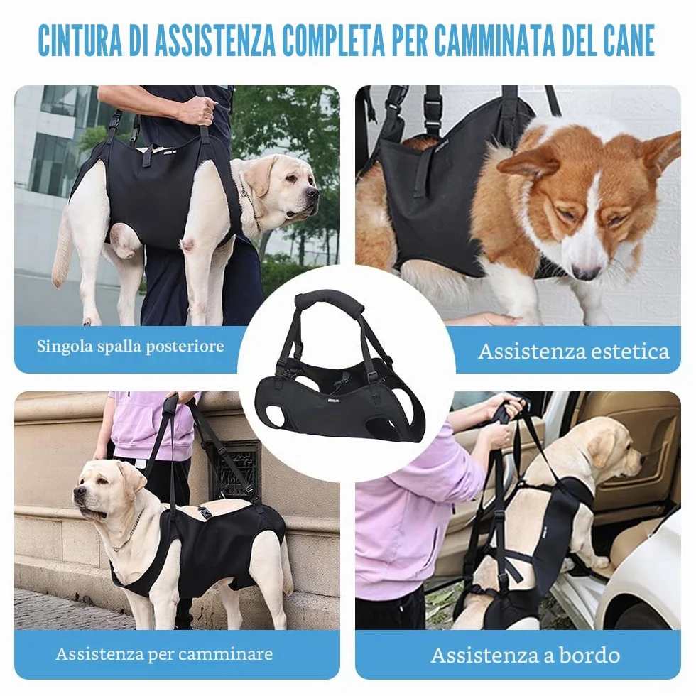 Imbracatura Cani Supporto e Recupero Zampe Animali Domestici Vestibilità Regolabile per Cani Anziani Artrite (M)