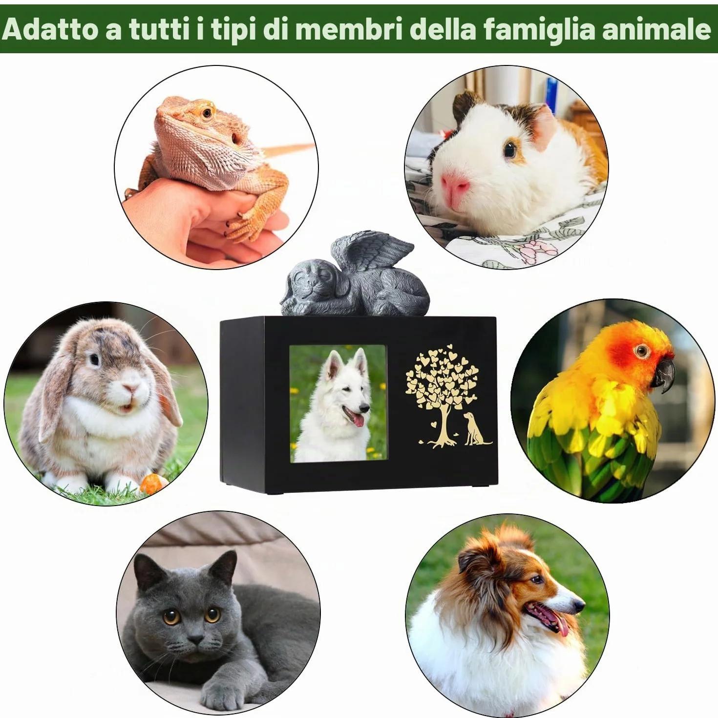 Urne per ceneri per cani in legno grandi con cornice per foto scatola commemorativa