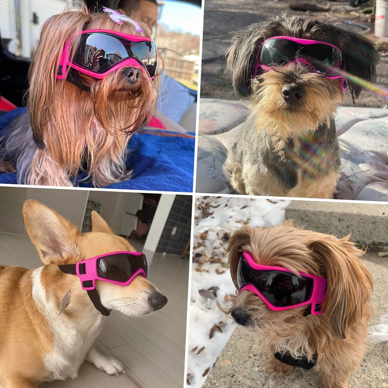 Occhiali da Sole per Cani Occhiali Protettivi per Cani Occhiali da Sole Anti-UV Protezione per gli Occhi per Cani Piccoli/Medi - Rosa
