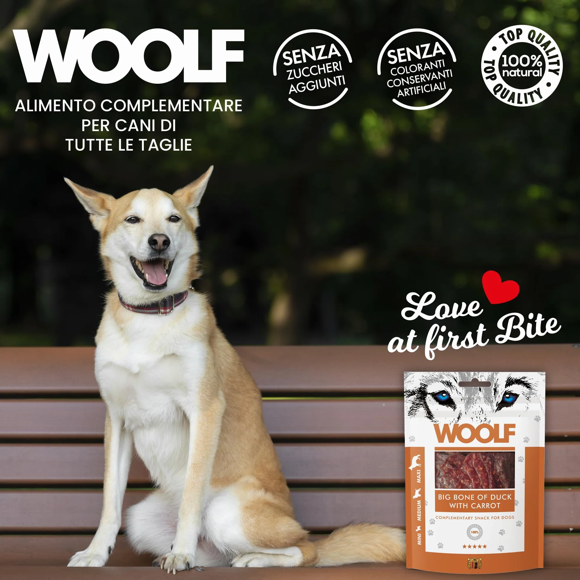 Snack per cani dental stick per cani premietti addestramento masticativi lunga durata osso pulizia denti cane al gusto anatra e carota 100 g | WOOLF