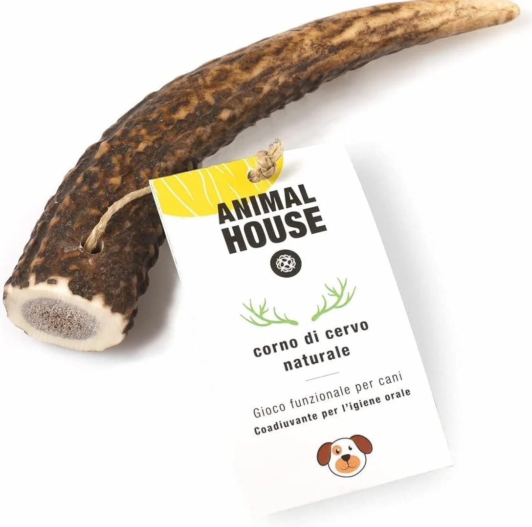 Animal House - Corna di Cervo per Cani Intere - Masticativo Naturale al 100% - Rafforza Igiene Orale - Resistenti e Duraturi - Disponibili in Tutte Le Taglie - Cruelty Free (S)