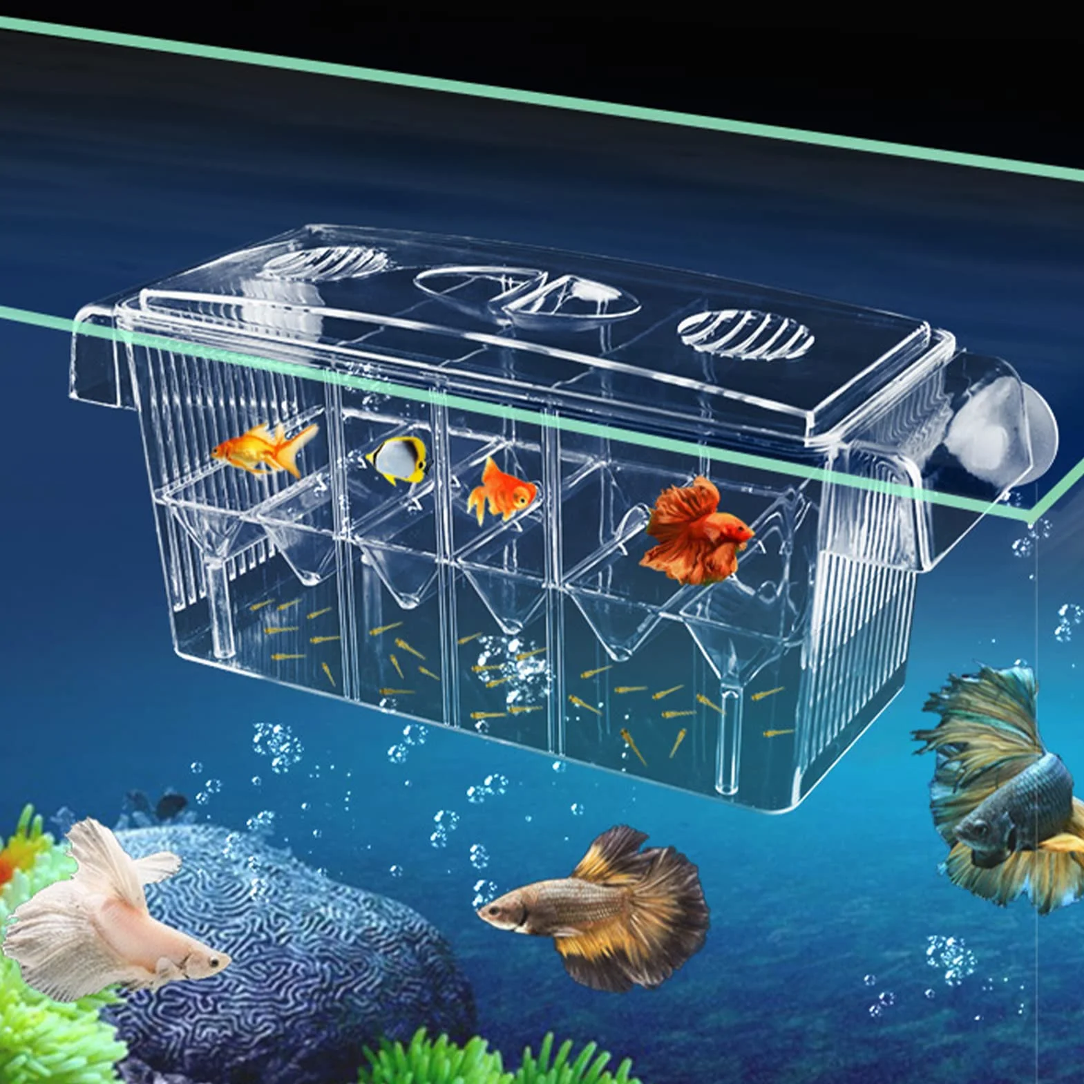 CSPone - Cassetta per la riproduzione, per acquario, per pesci
