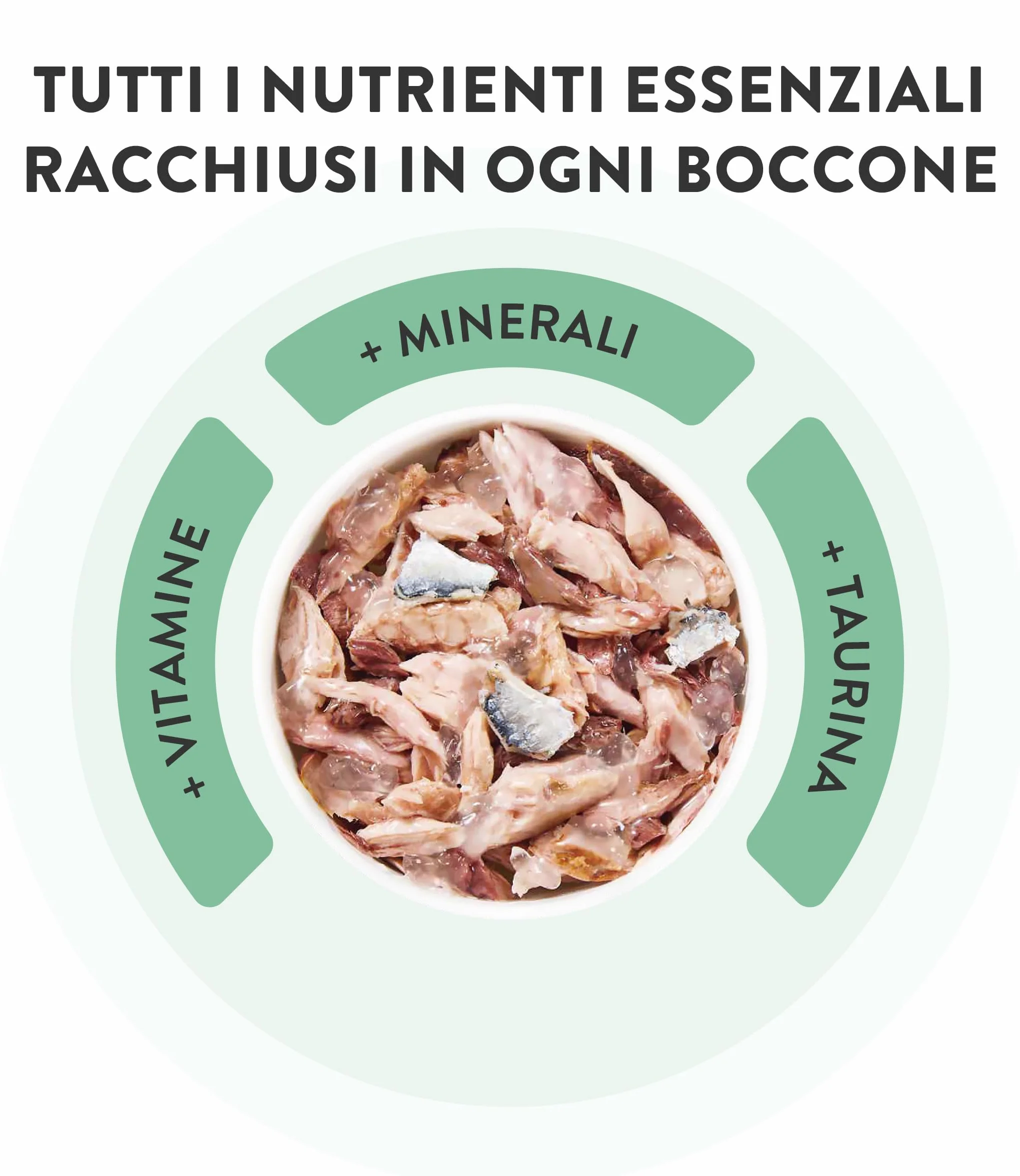 Schesir, Tonnetto in Gelatina, Cibo Umido Completo per Gatti, Con Vitamine Aggiunte, 100% Naturale, 6 lattine da 85g