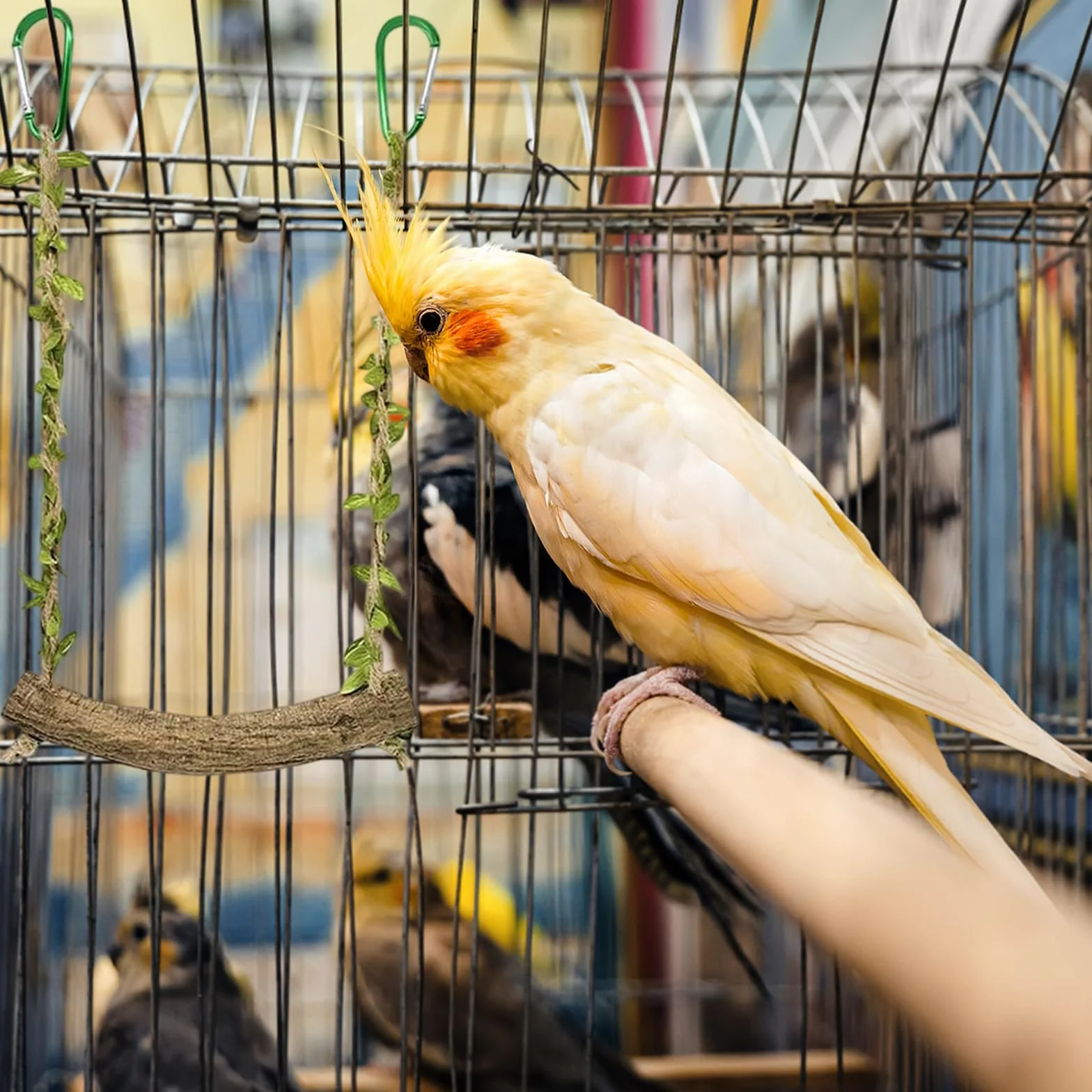 Trespolo per Pappagalli 2 Pezzi - Giochi per Cocorite - Altalene per Pappagalli - Accessori per Gabbie per Uccelli