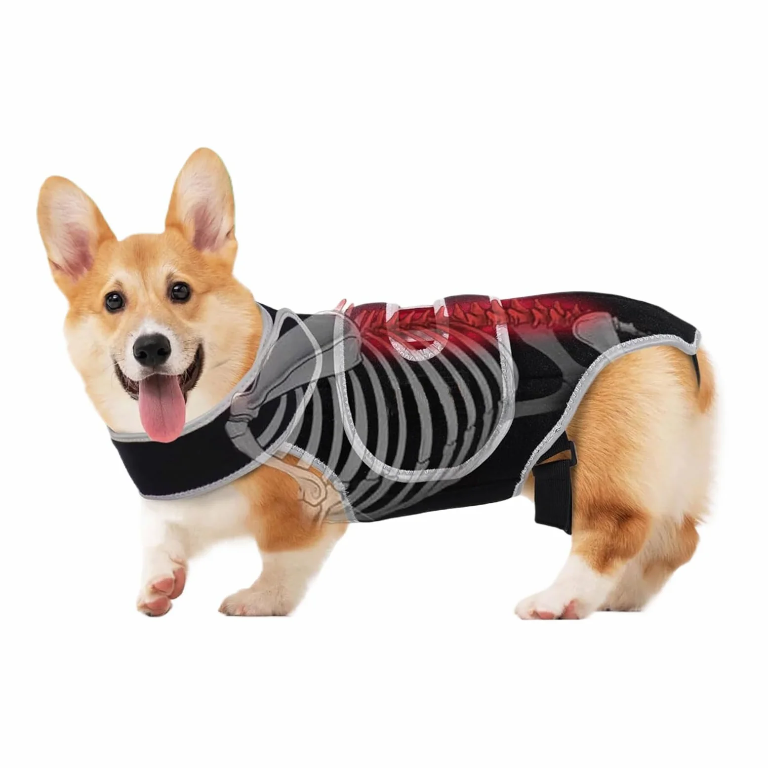 Supporto per la schiena per cani, regolabile, in neoprene, 450 g, imbracatura di supporto per la riabilitazione del cane, per le scale, camminare, jogging, casa, all'aperto, viaggi