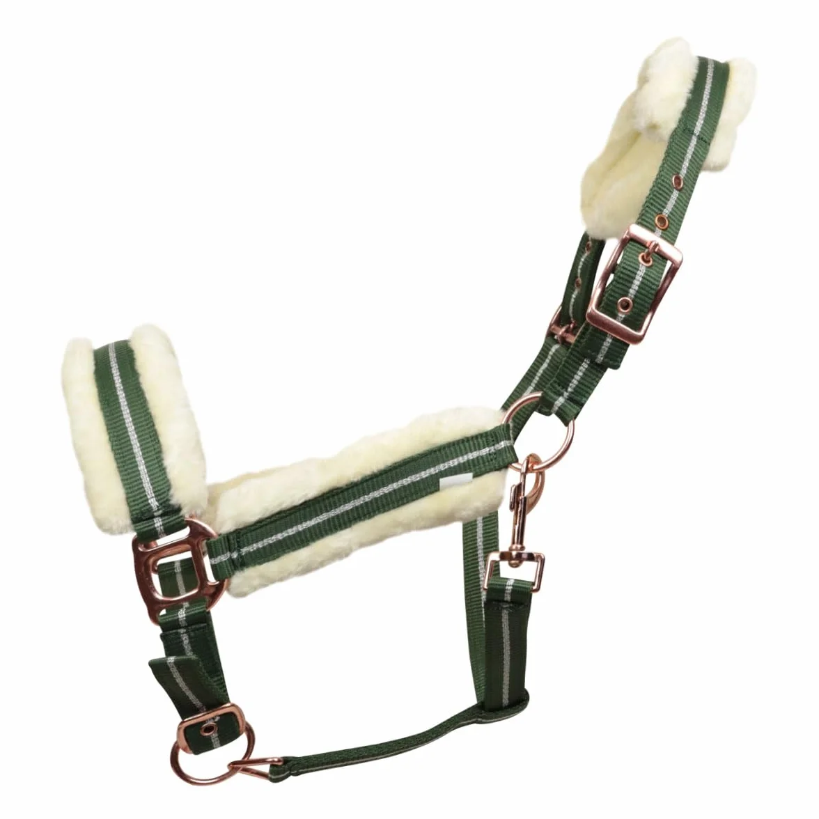 Cavezza Con Longhina Horses Kara In Nylon, Materiali Innovativi, Design Elegante, Dettagli Raffinati per Cavalieri Esigenti (Verde/argento, Pony)