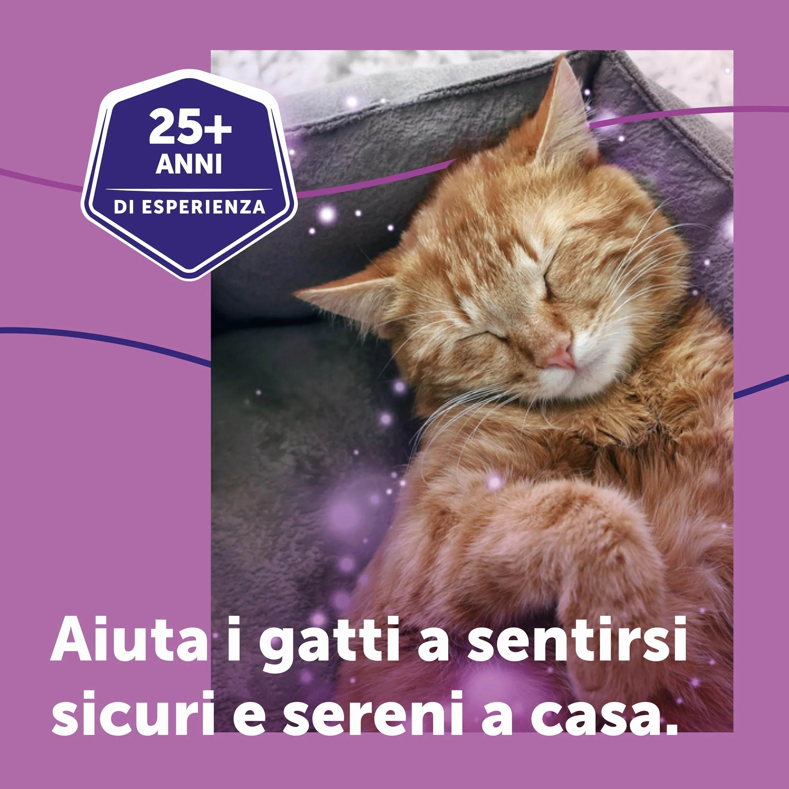 FELIWAY Classic Starter Kit Diffusore di Feromoni Calmanti per Gatti, 48 ml – Aiuta a risolvere i segni comuni di stress nei gatti e gattini, Raccomandato dai Veterinari, Clinicamente Testato