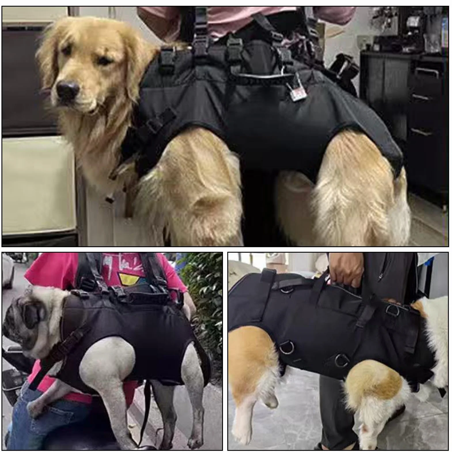 Imbracatura per cani | Traspirante regolabile | Zaino da trekking per animali domestici per viaggi in moto per disabili durante la camminata toelettatura scale veterinario salvataggio anziani