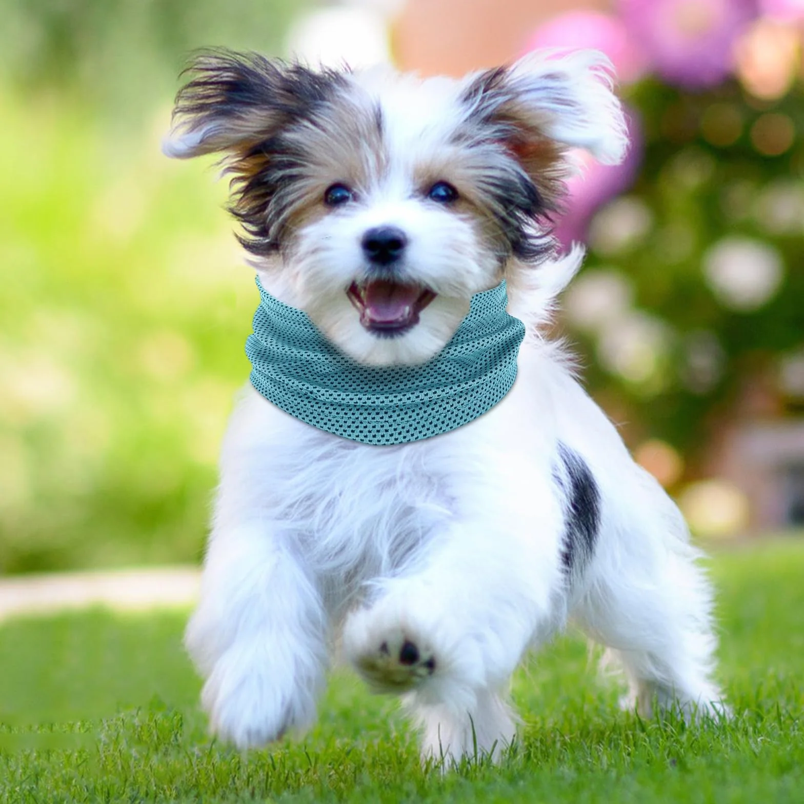 Collare di Raffreddamento per Cani Refrigerante Blu L