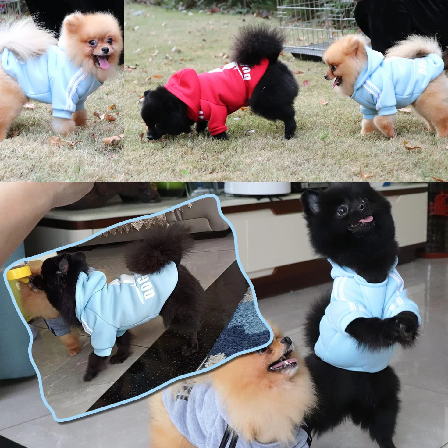 QiCheng&LYS Felpa per Cani Piccola Taglia Maglioncino Cappotto Caldo Animale Domestico Blu XS