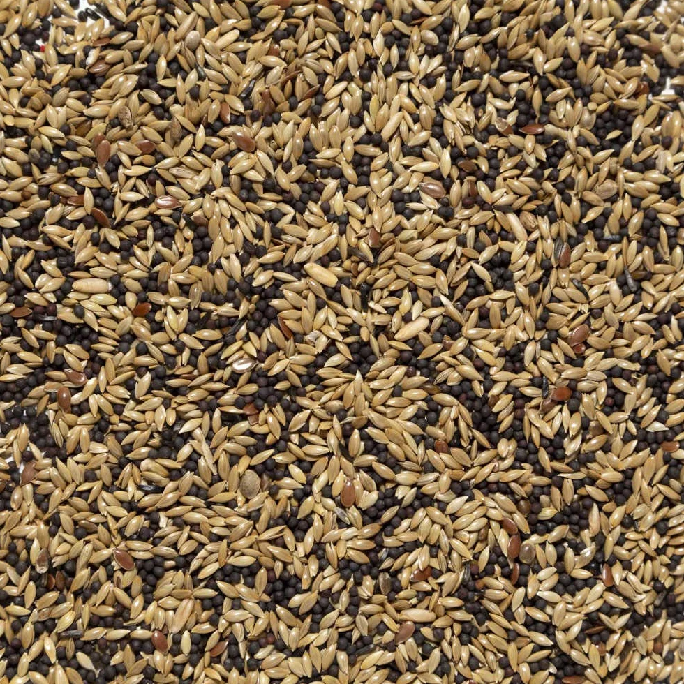 Il Contadino - Antichi Becchimi | MISCUGLIO per CANARINI | Formula Ricca di Semi Selezionati Adatta per Tutto L'Anno, No OGM, 100% Vegetale, Assenza di scarti. qualità Superiore (1 kg)