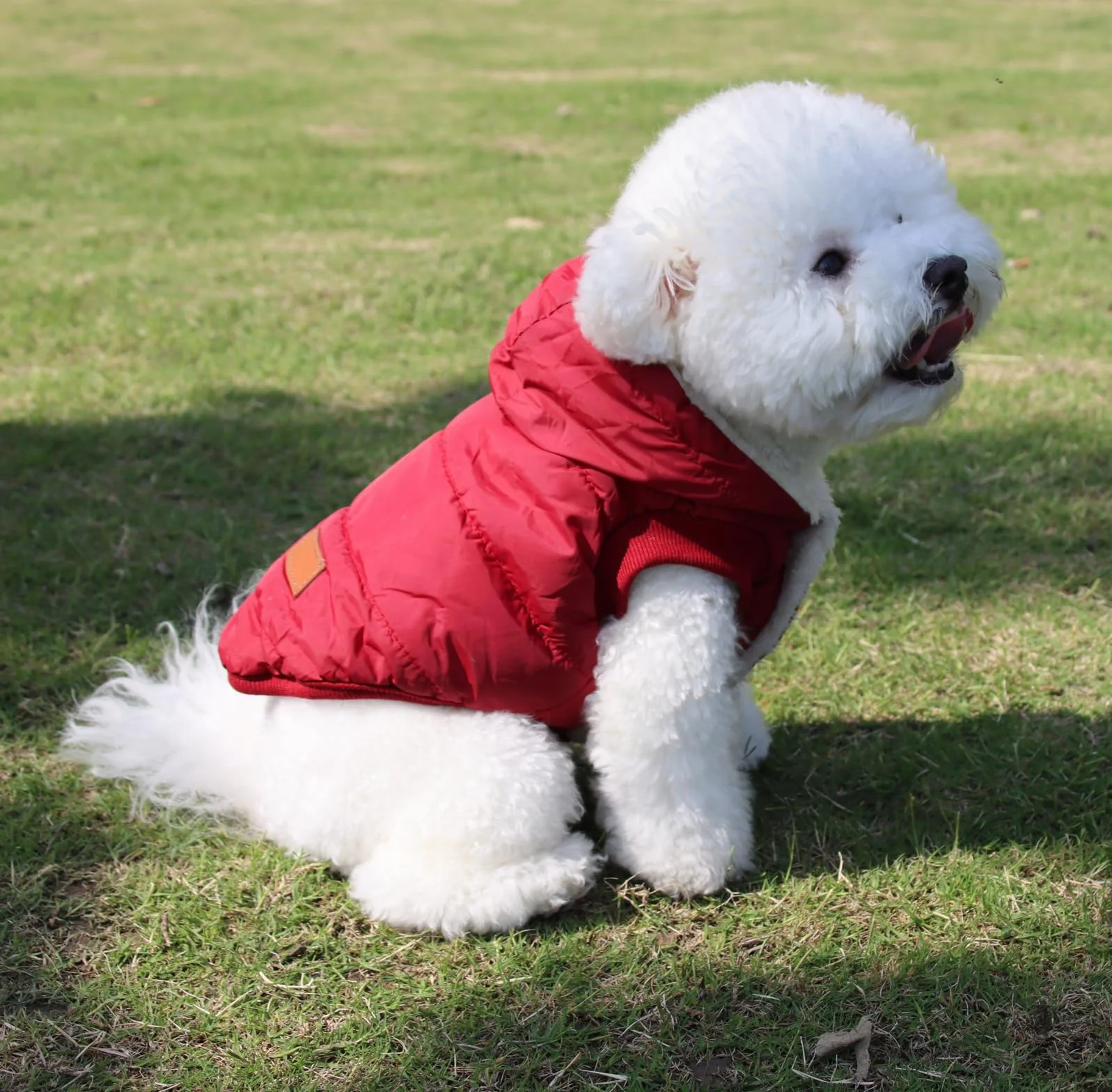 Cappottino invernale per cani con cappuccio foderato in pile rosso M