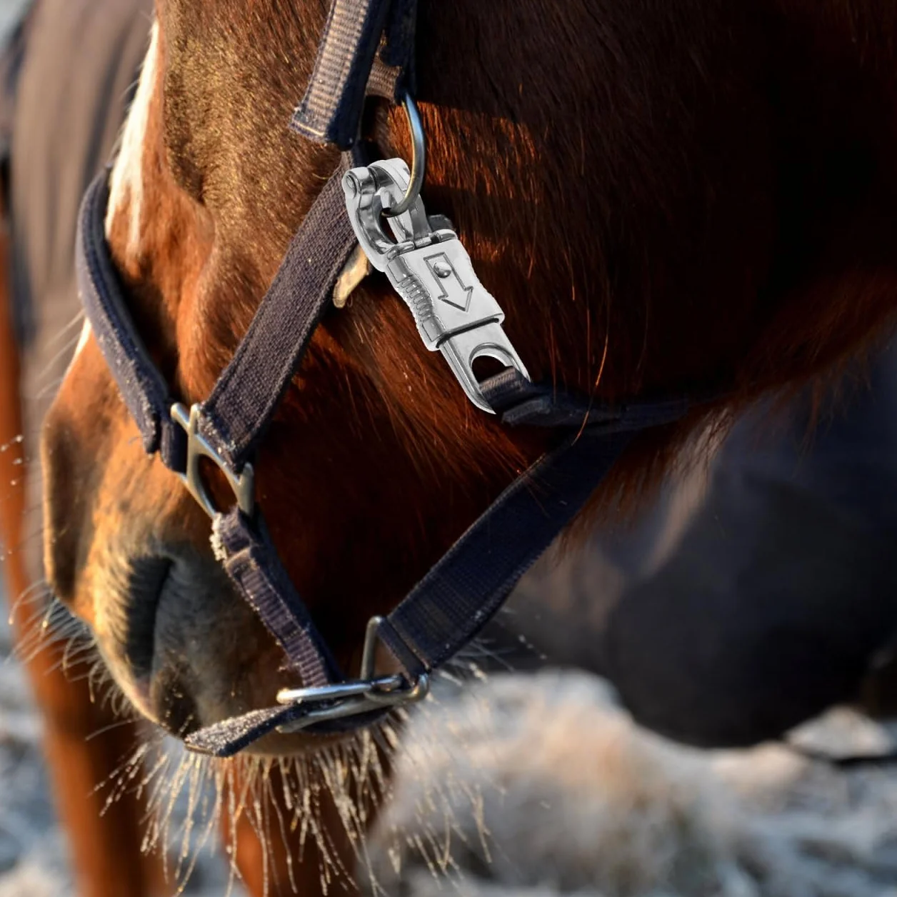 Housoutil Gancio Di Panico a Rilascio Rapido Con Occhio Fisso 4.02X1.30X2.36 Pollici in Lega Di Zinco Snap Di Panico Per Paracord Accessorio Per Ciclismo Equestrazione Controllo Cavalli 2 Pezzi