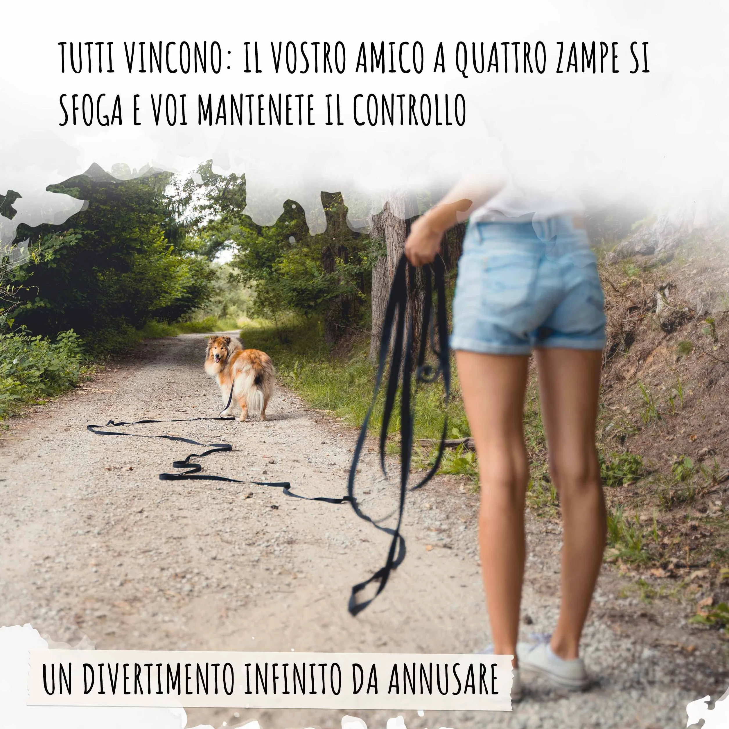 Rudelkönig Guinzaglio addestramento per cani - Lunghina cane 5 metri - Resistente e durevole guinzaglio per cani per un'Efficiente educazione del tuo cane