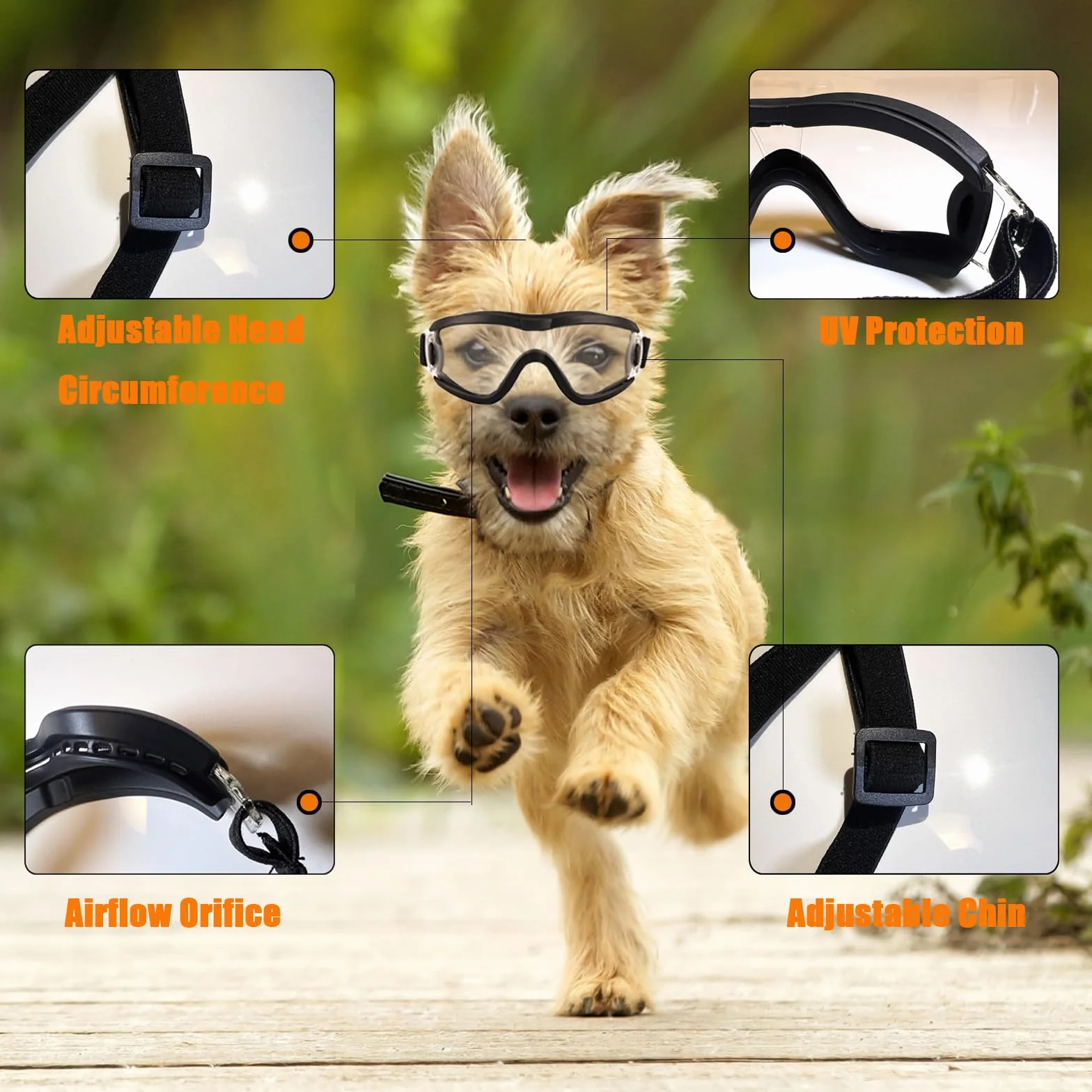 Occhiali da sole per cani di piccola taglia con protezione UV, regolabili, per cagnolini, cuccioli, anti-appannamento, vento, polvere e neve (montatura nera, lenti trasparenti)