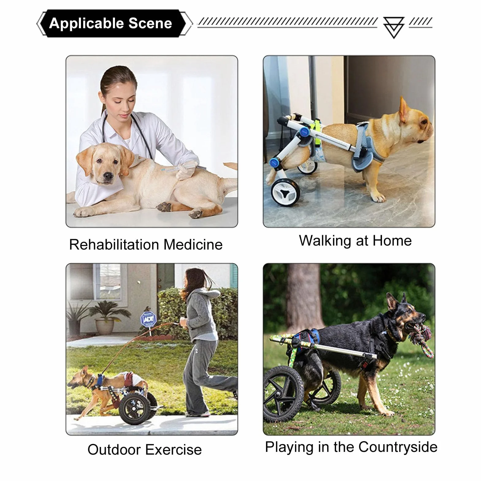 Garsent Sedia a Rotelle per Cani per Gambe Posteriori, Carrello per Sedie a Rotelle del Cane, Carrello Posteriore per Cani a 4 Ruote Integrate per Cani per Esterno e Aiuti di mobilità