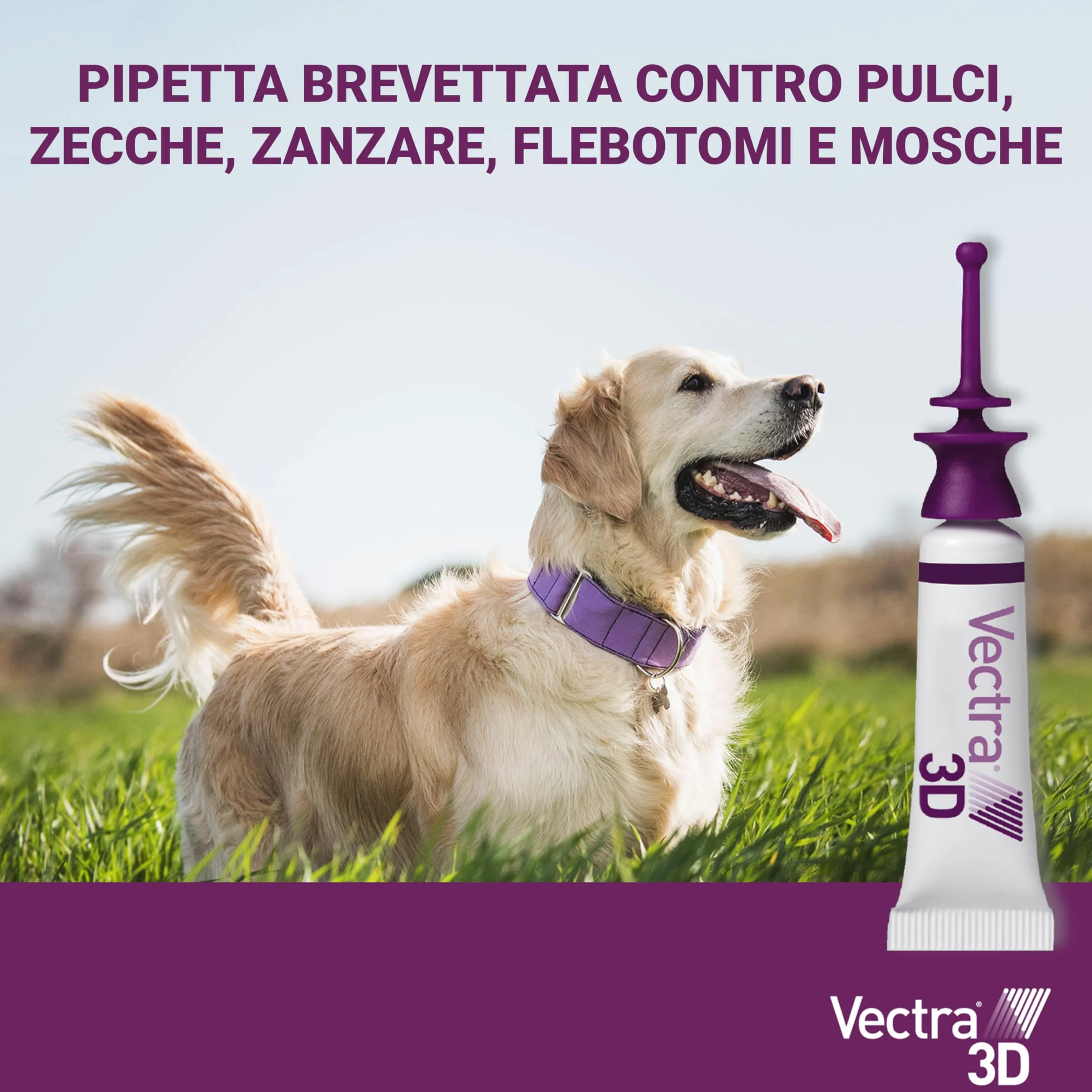VECTRA 3D Antiparassitario per Cane 3 Pipette Antipulci Antizecche Antizanzare 4-10 kg