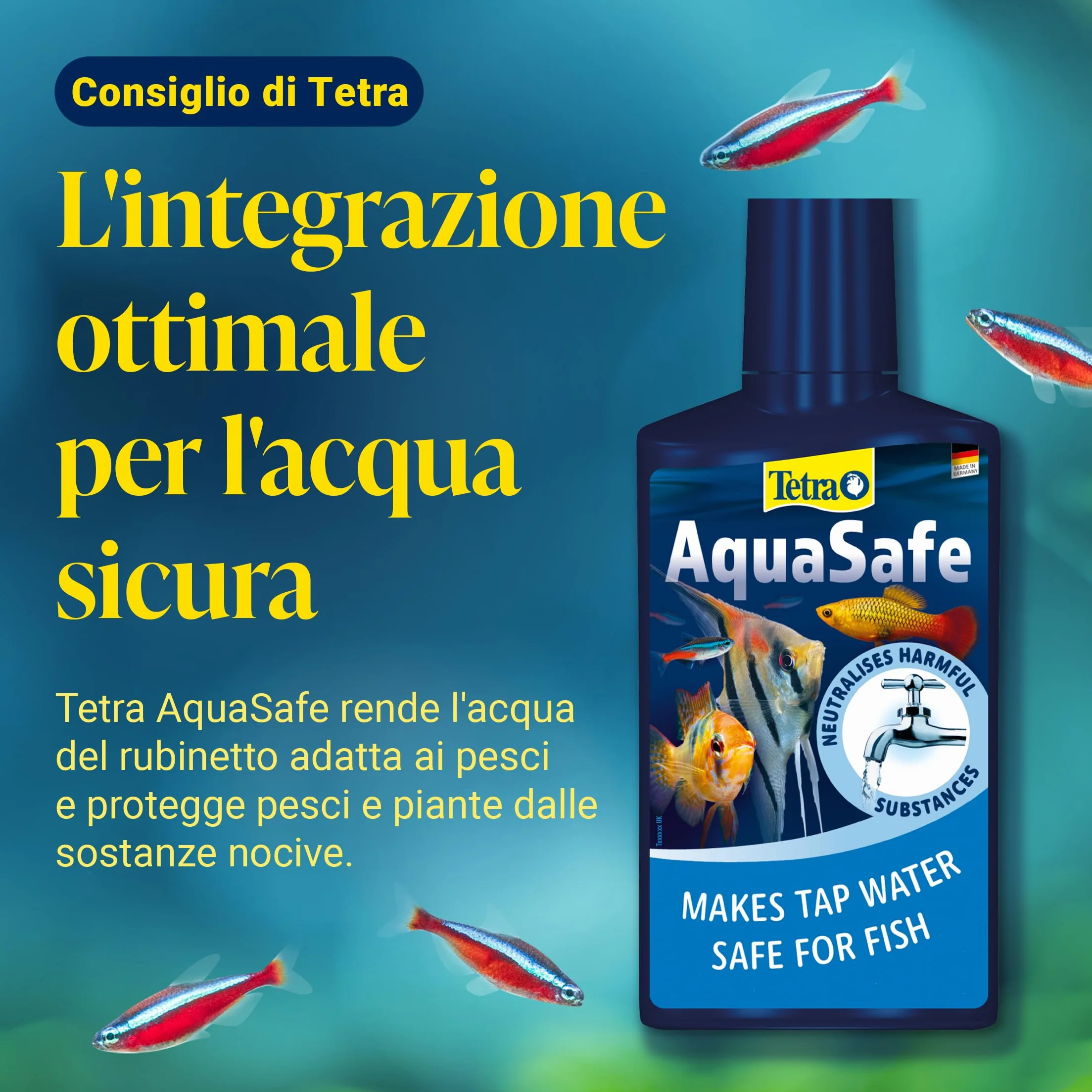 Tetra FilterActive 250 ml Batteri Vivi Attivano Filtro Riducono Accumulo Impurità Mantiene Biologicamente Attivo