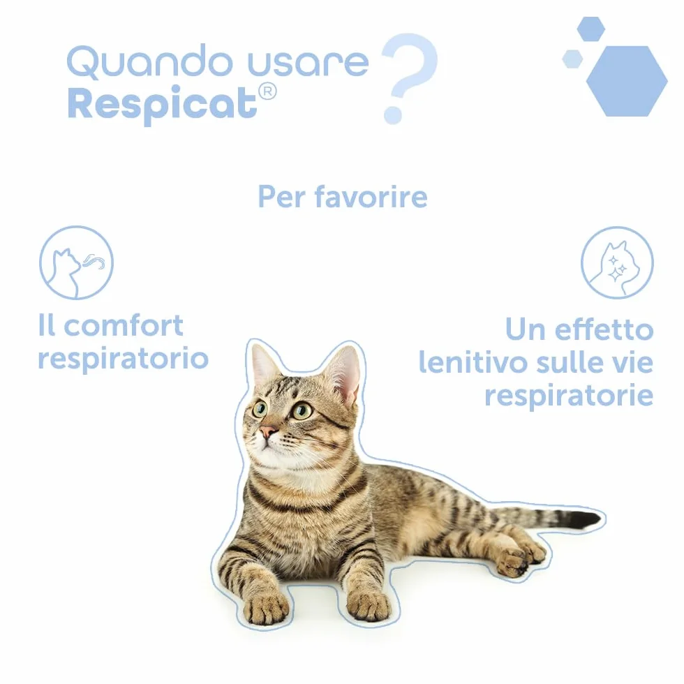 MP Labo Respicat® 30 ml - con Oli Essenziali - Modificatore dell'ambiente respiratorio nell'habitat degli Animali Domestici - Cani e Gatti