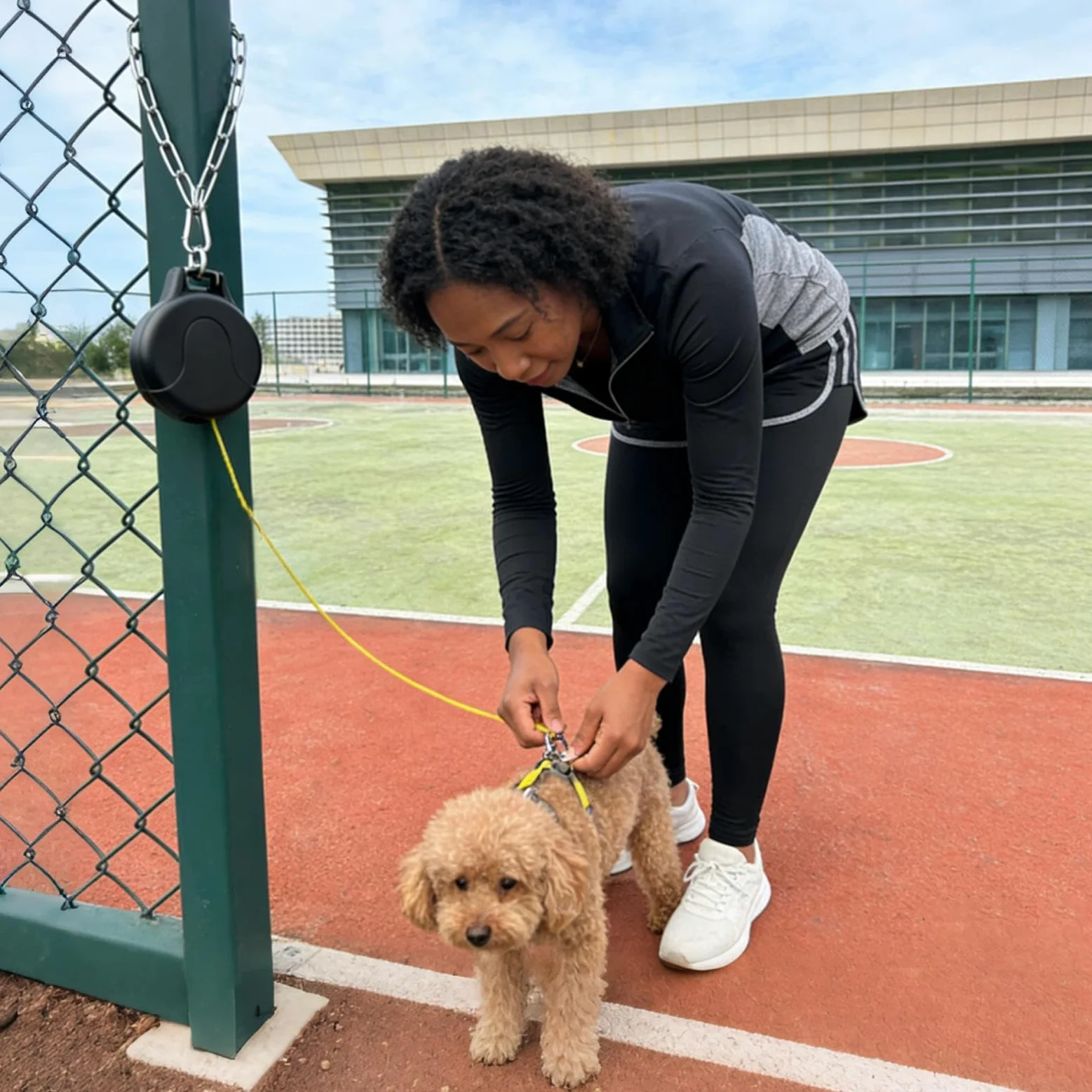 Guinzaglio Estensibile Per Cani Strumento Lungo Di Facile Conservazione | Guinzaglio Retrattile Da Parete Per Passeggiate Corsa Escursioni Spiaggia Cortile Giardino Attività All'Aperto
