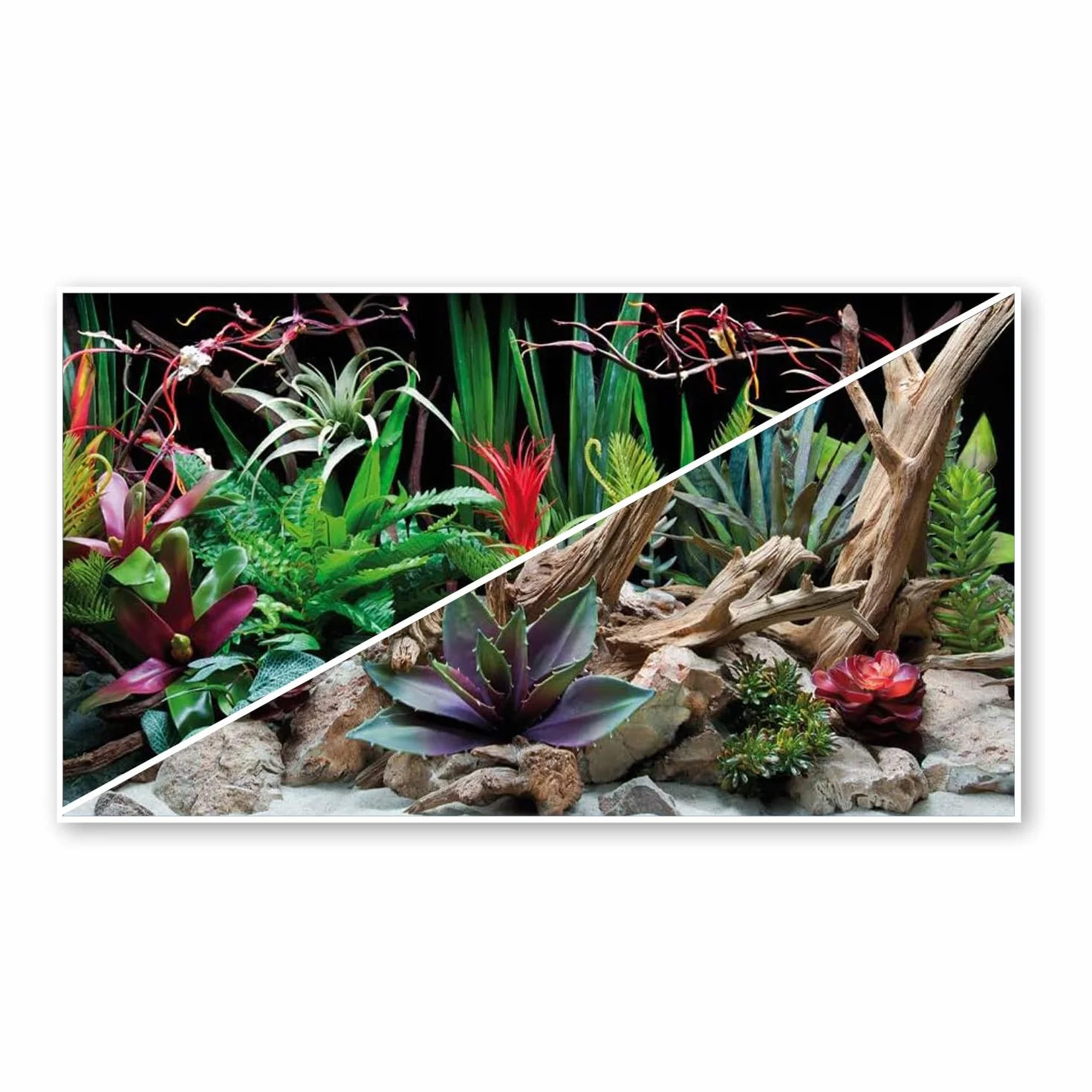 Amtra Sfondo Doppio Flora - Sfondo Poster per Acquario, Decorazione a Doppia Stampa HD, Double Face, Impermeabile, Formato 30x60 cm