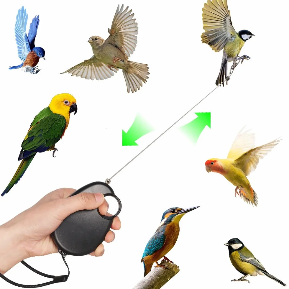 DONGKER Allungabile Guinzaglio per Uccelli, Imbracatura Retrattile per Uccelli da 20 Piedi, Corda Volante per Pappagallo per Calopsitte, Parrocchetti Ondulati, Longicauda, Addestramento al Volo