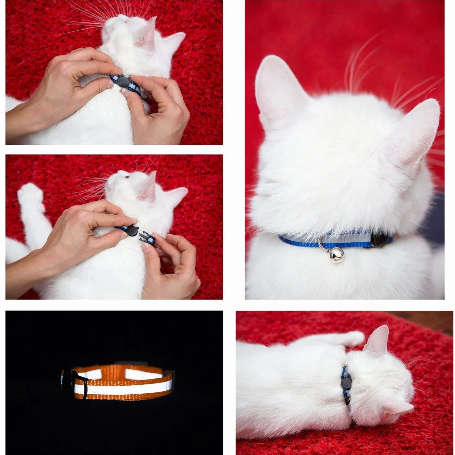 Collare per Gatto Riflettente con Campanella, Sicuro, Nylon, Colori Misti, Collare per Animale Domestico, Collare Rimovibile per Gatto (12)
