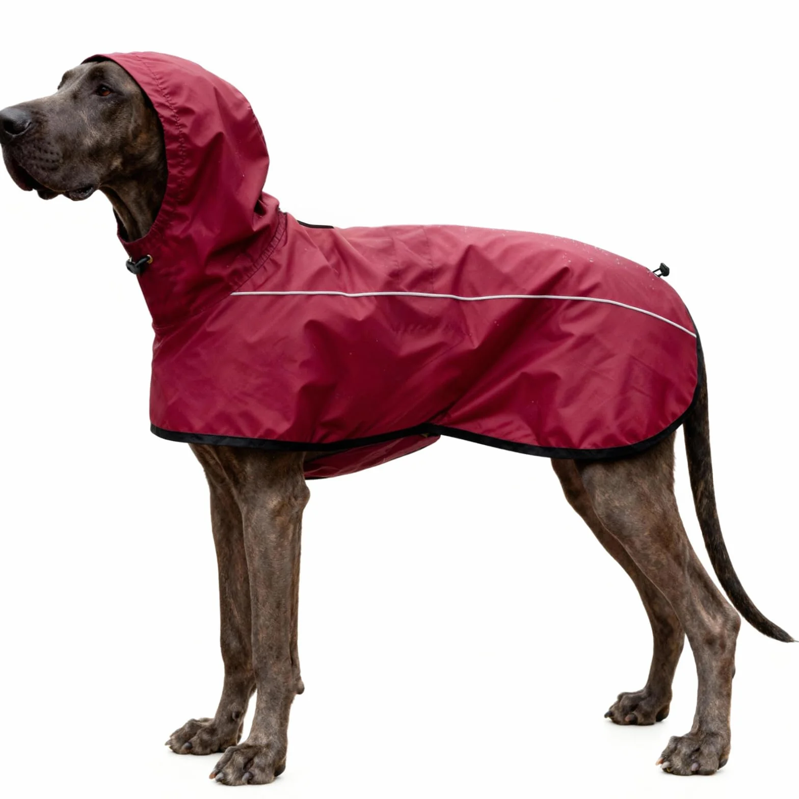 Giacca da Impermeabile per Cani Cappuccio Riflettente Cappuccio da Pioggia per Animali Domestici Poncho con Vestiti per Cani Piccoli e Medi (Rosso, S)
